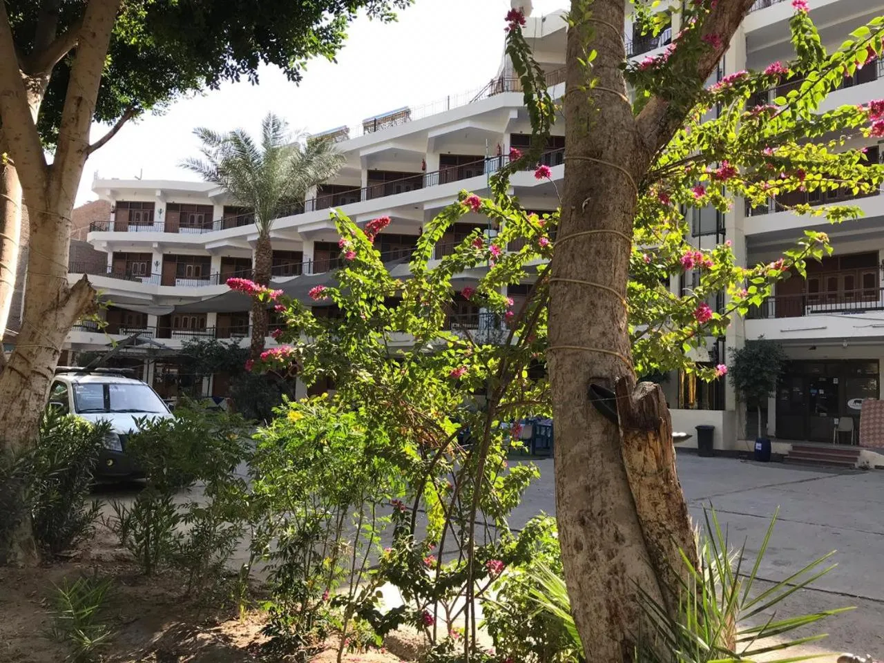 Spring in Rezeiky Hotel & Camp