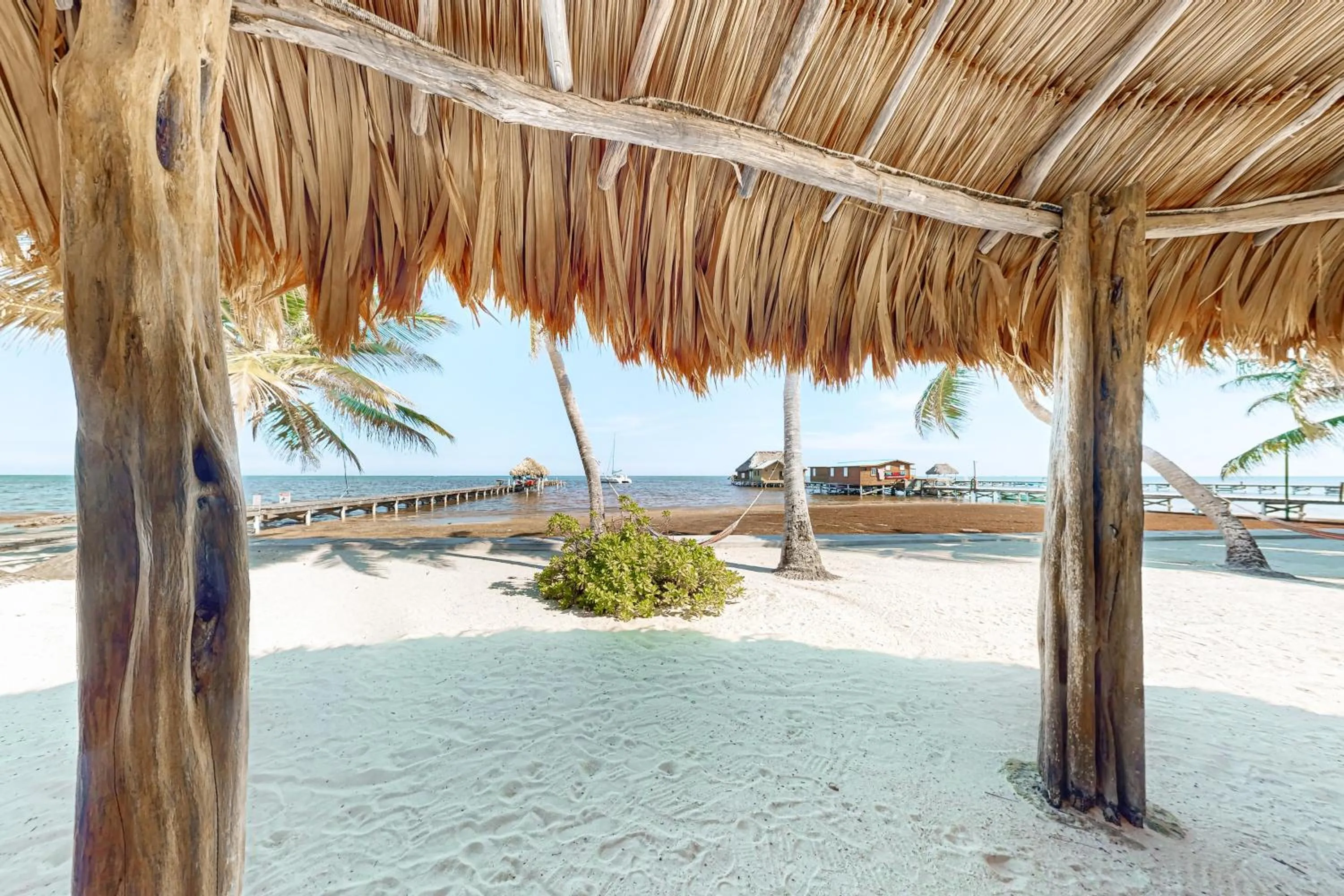 Palm @ Caribe Island