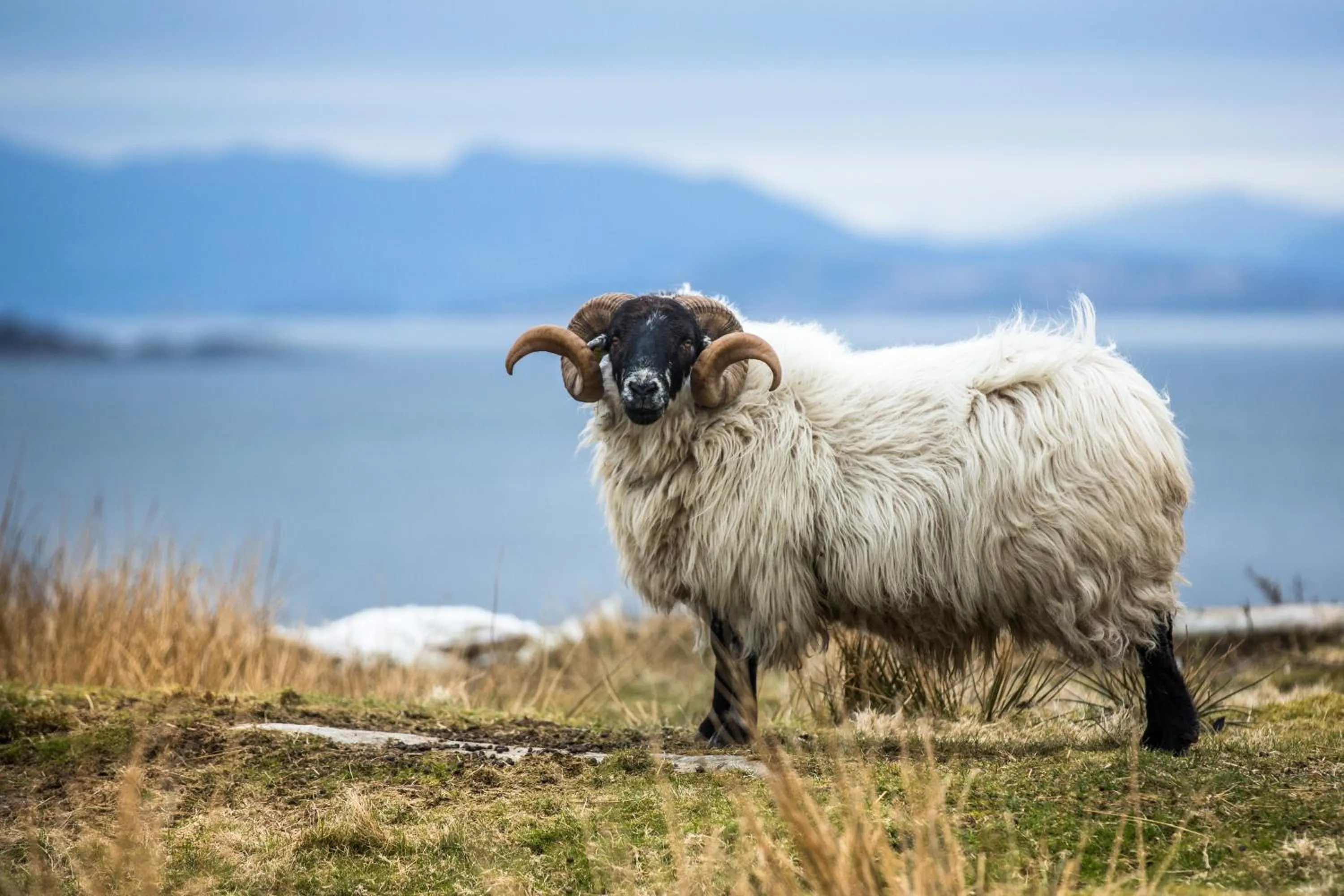 Day in Sjøberg Hotell og Ferie Leiligheter