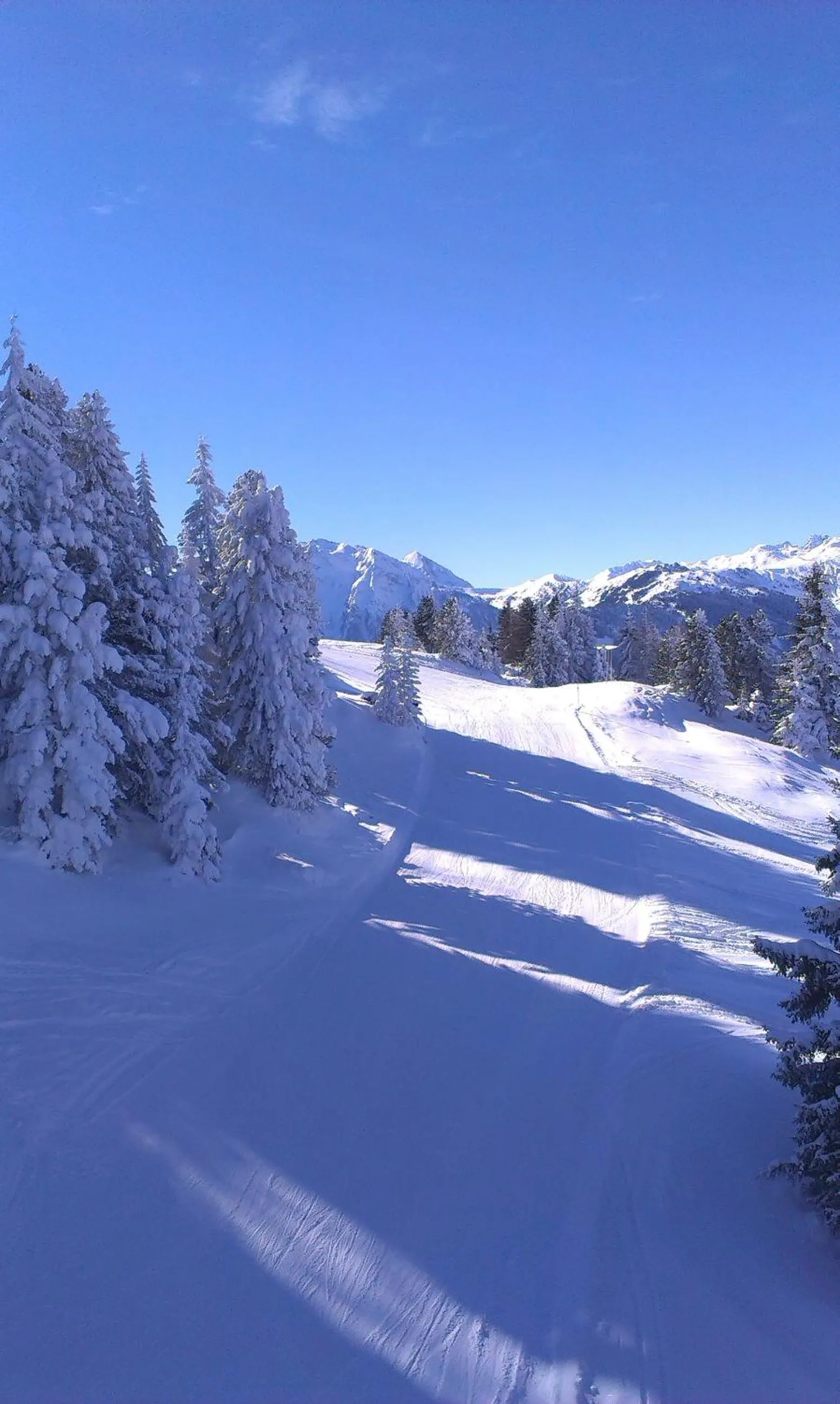 Skiing in Appartement Weigl