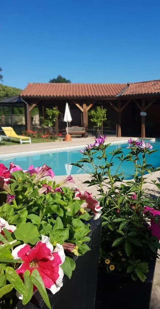 Pool view in DOMAINE DE LA RESERVE