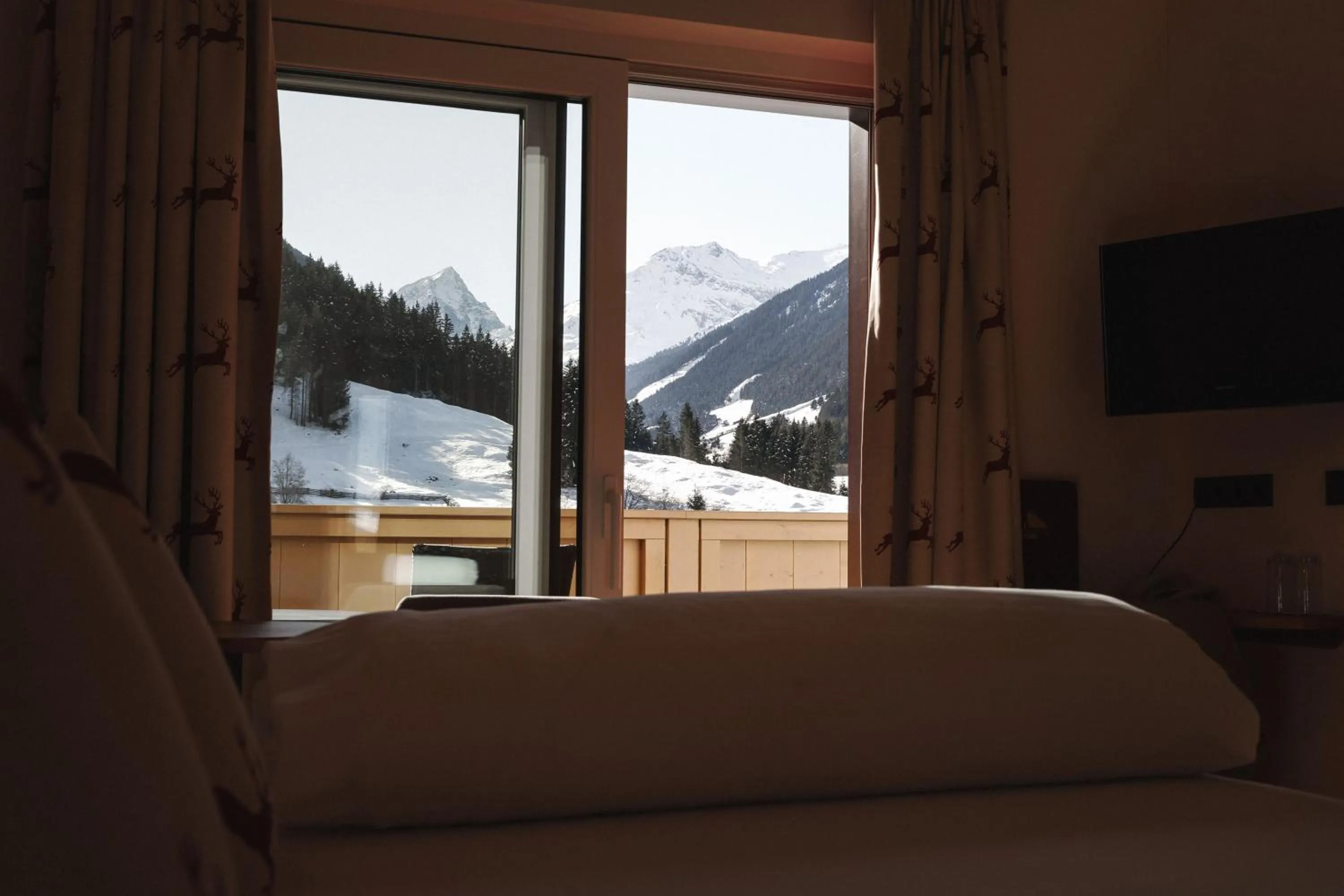 View (from property/room) in Bergsporthotel Antonie