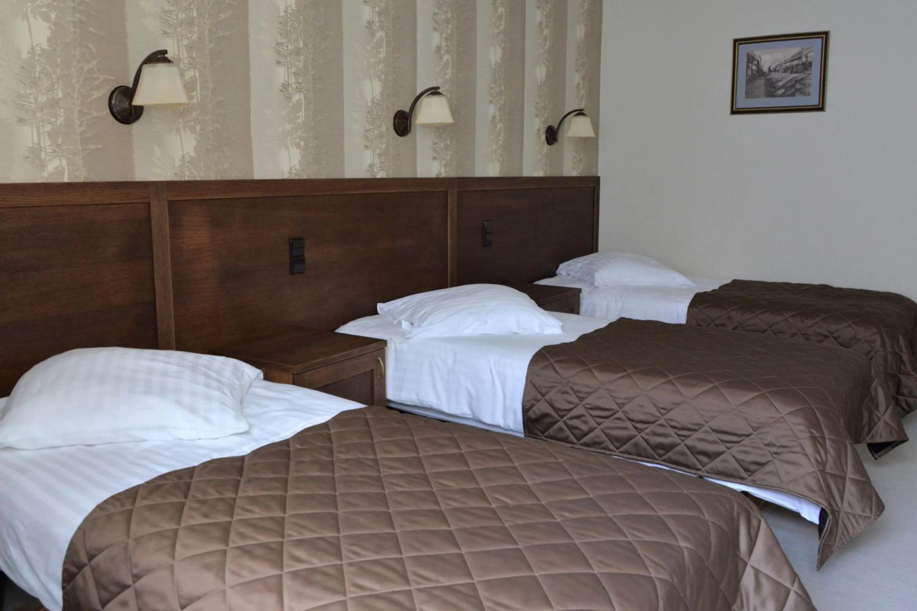 Photo of the whole room in Šaulys