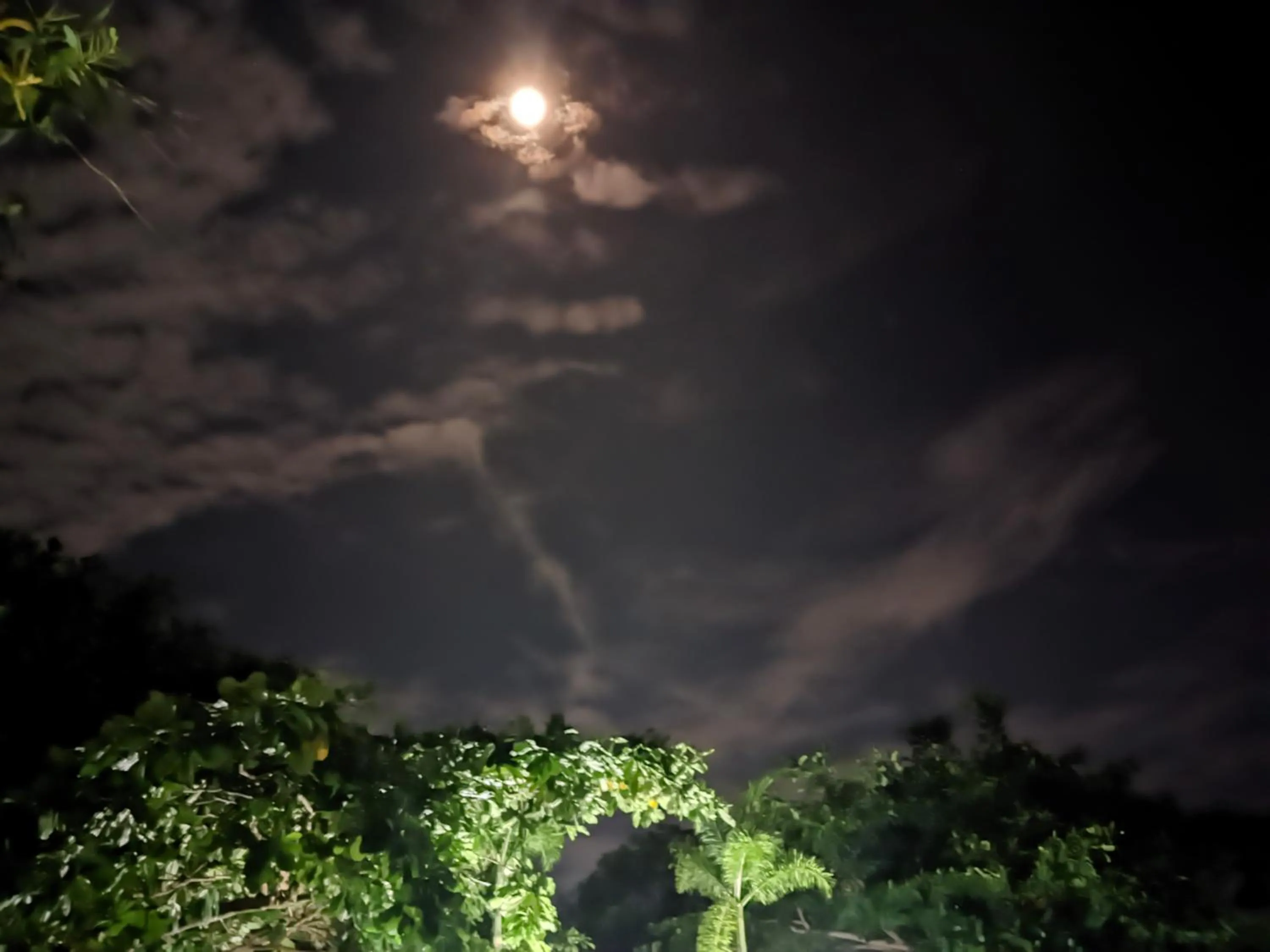 Night in The Kawan Jimbaran