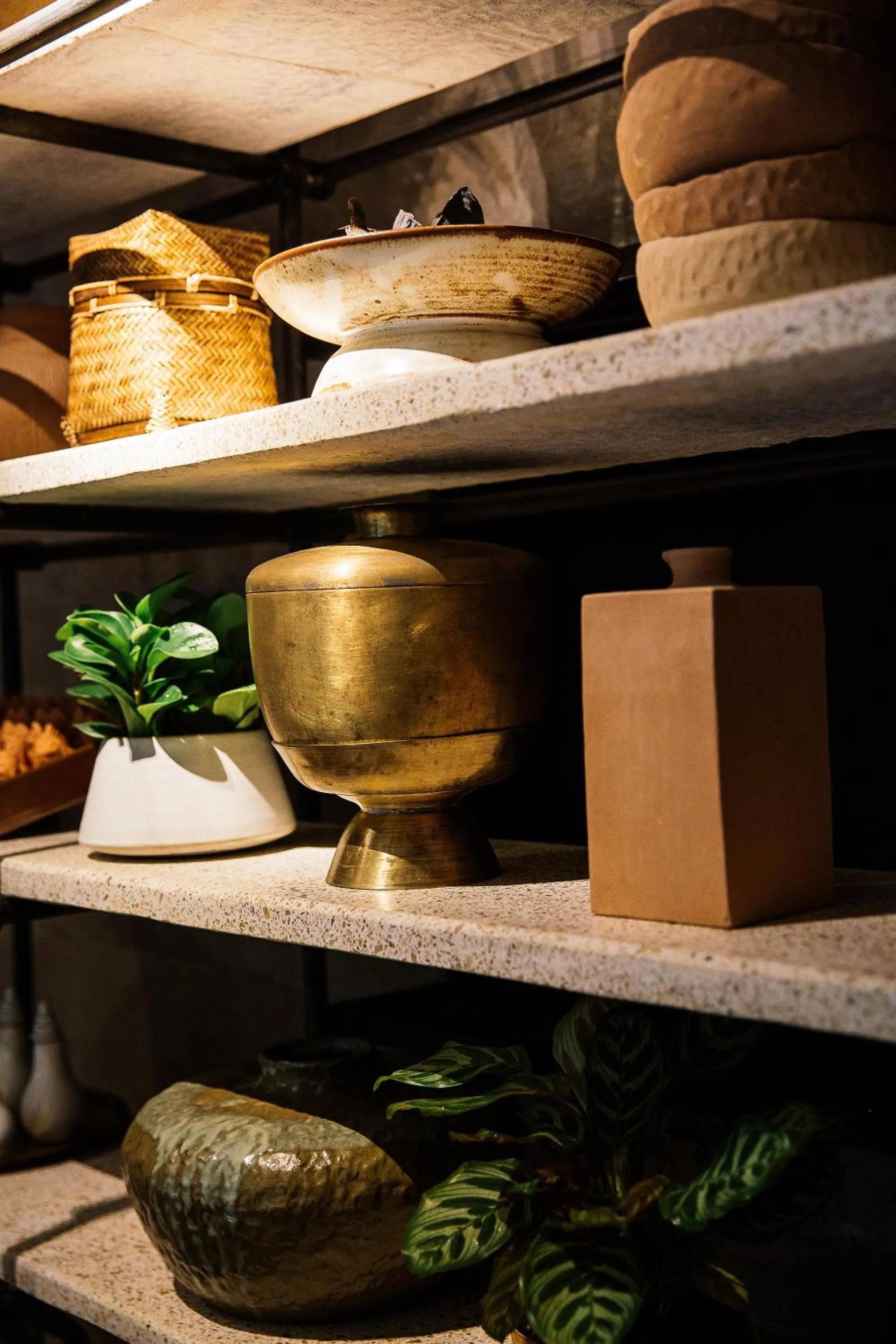 Spa and wellness centre/facilities in Treeline Urban Resort