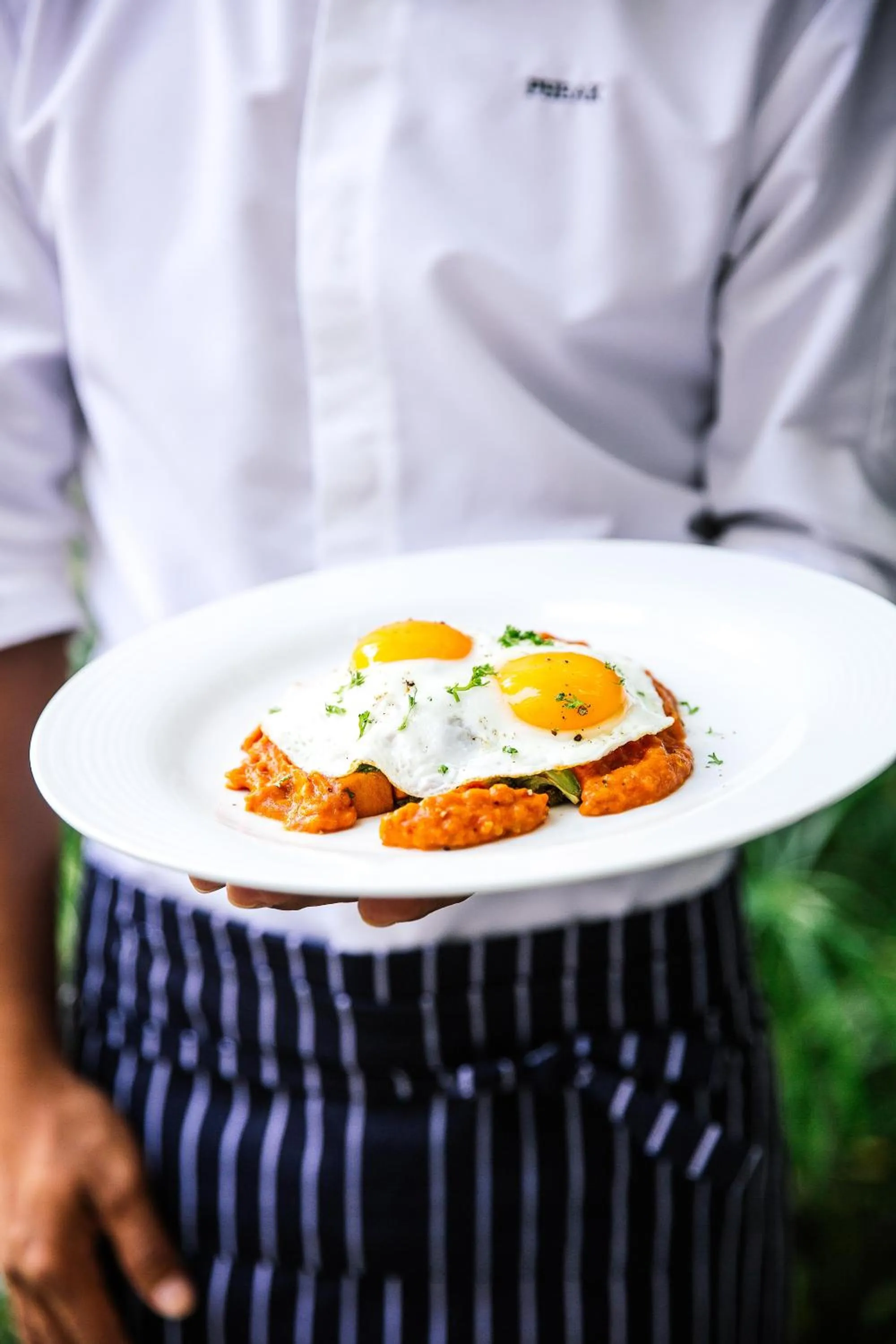 Restaurant/places to eat in Treeline Urban Resort