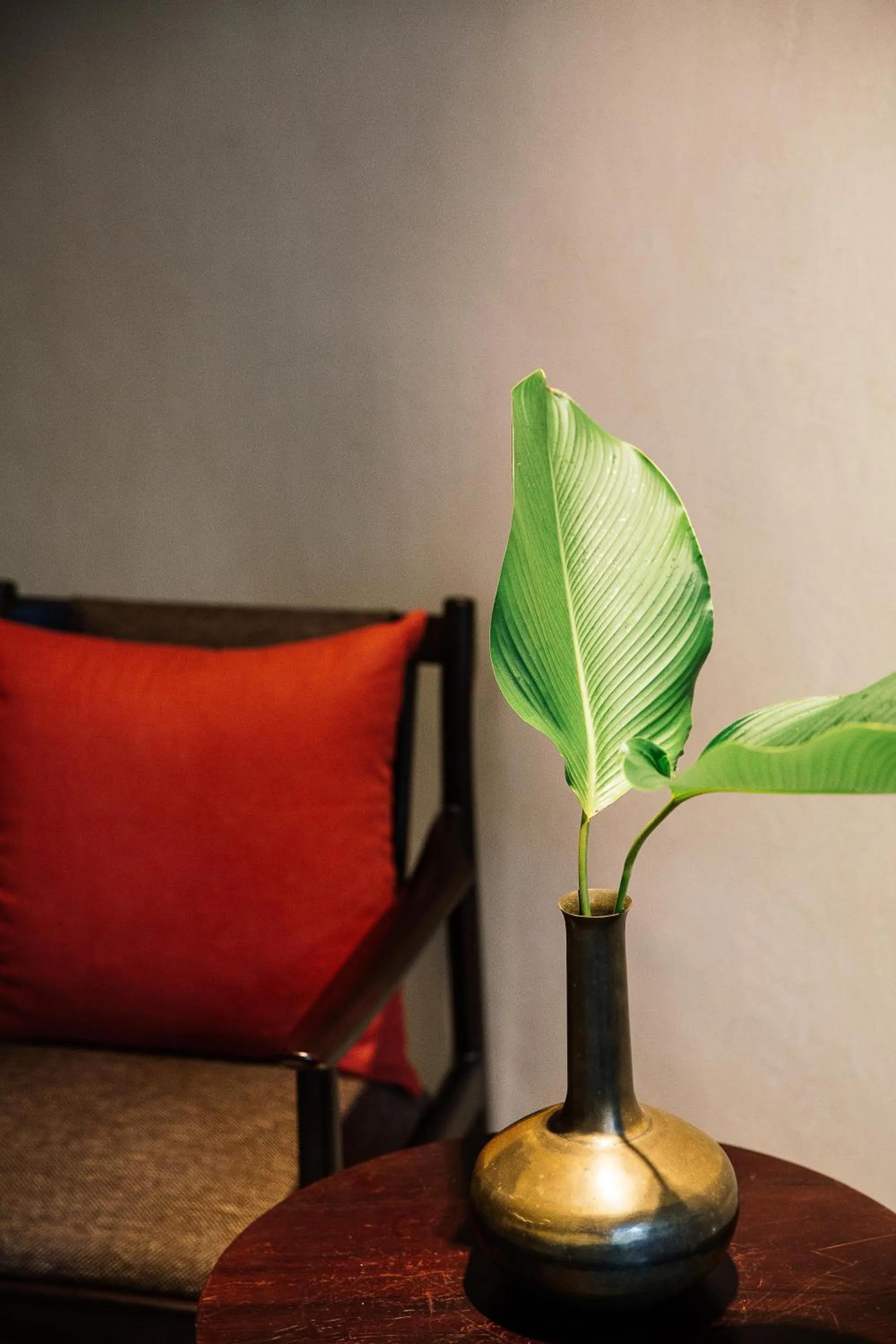 Spa and wellness centre/facilities in Treeline Urban Resort