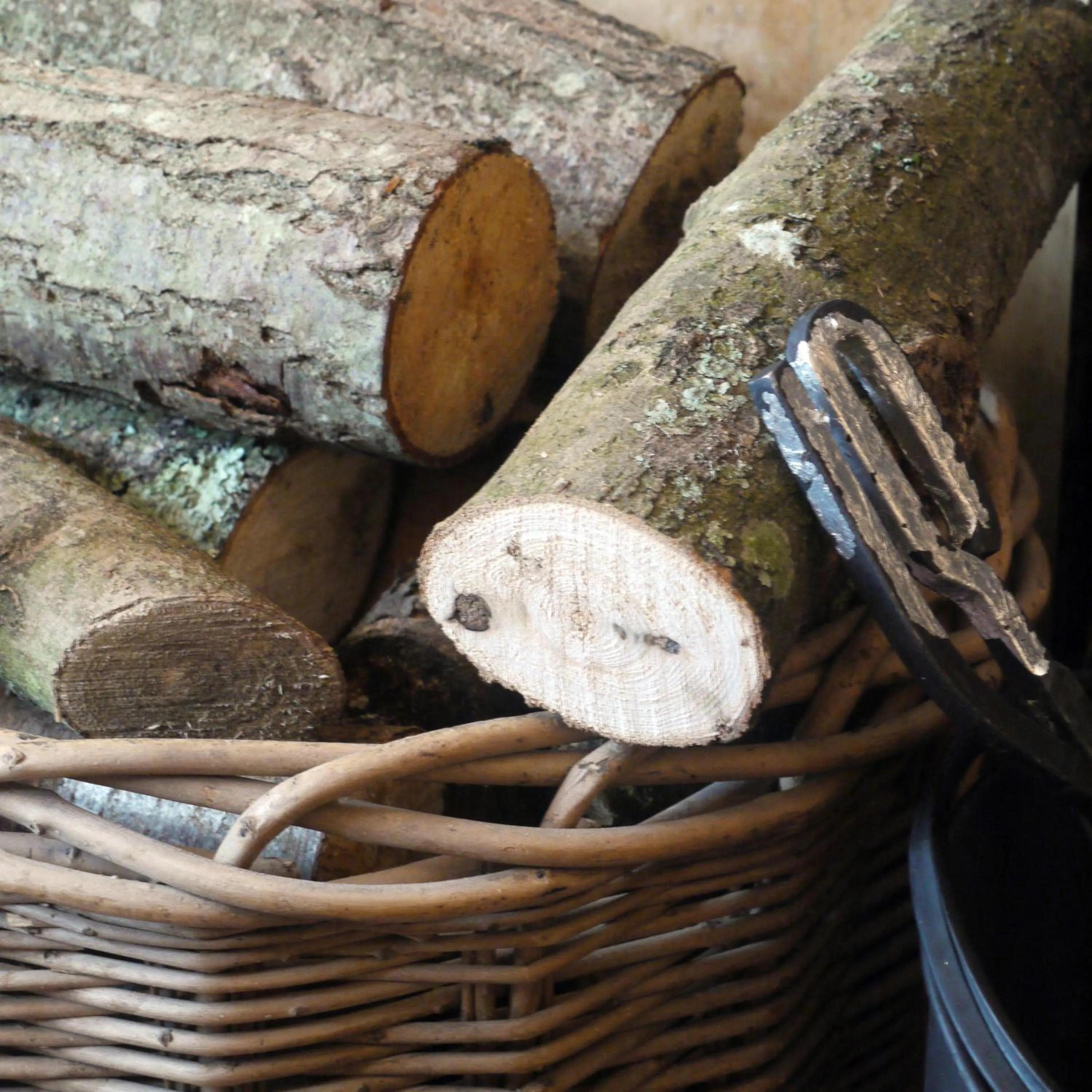 Area and facilities in Bailiffscourt Hotel & Spa