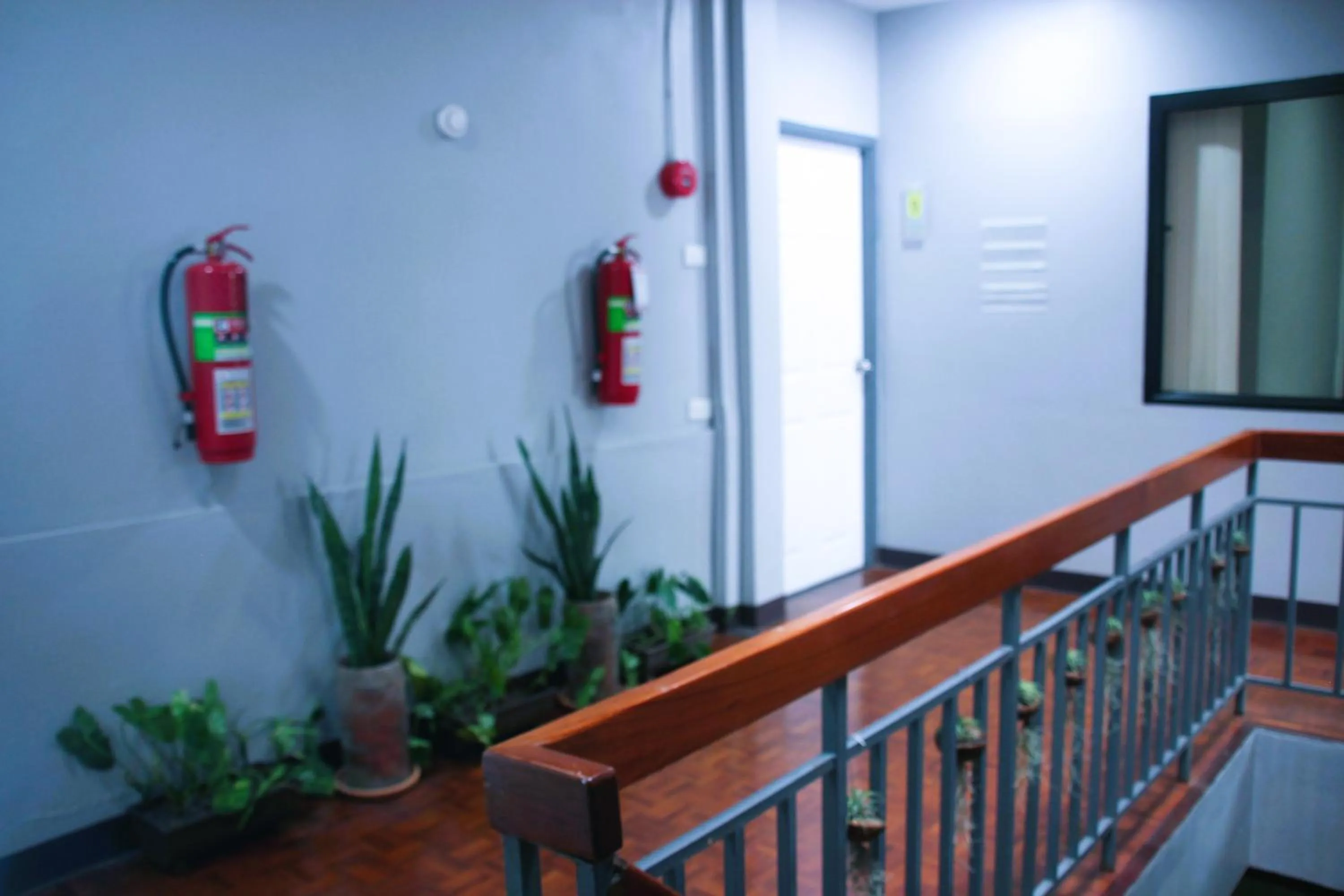 Property building in Lux Rooms Night Bazaar