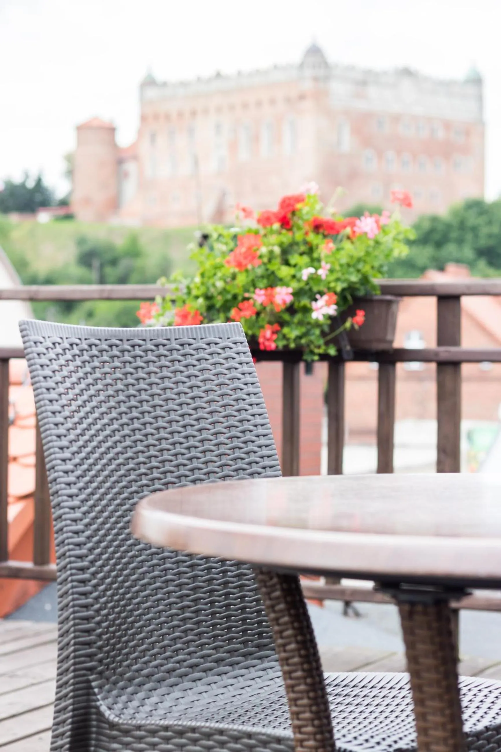 Balcony/Terrace in Hotel Vabank