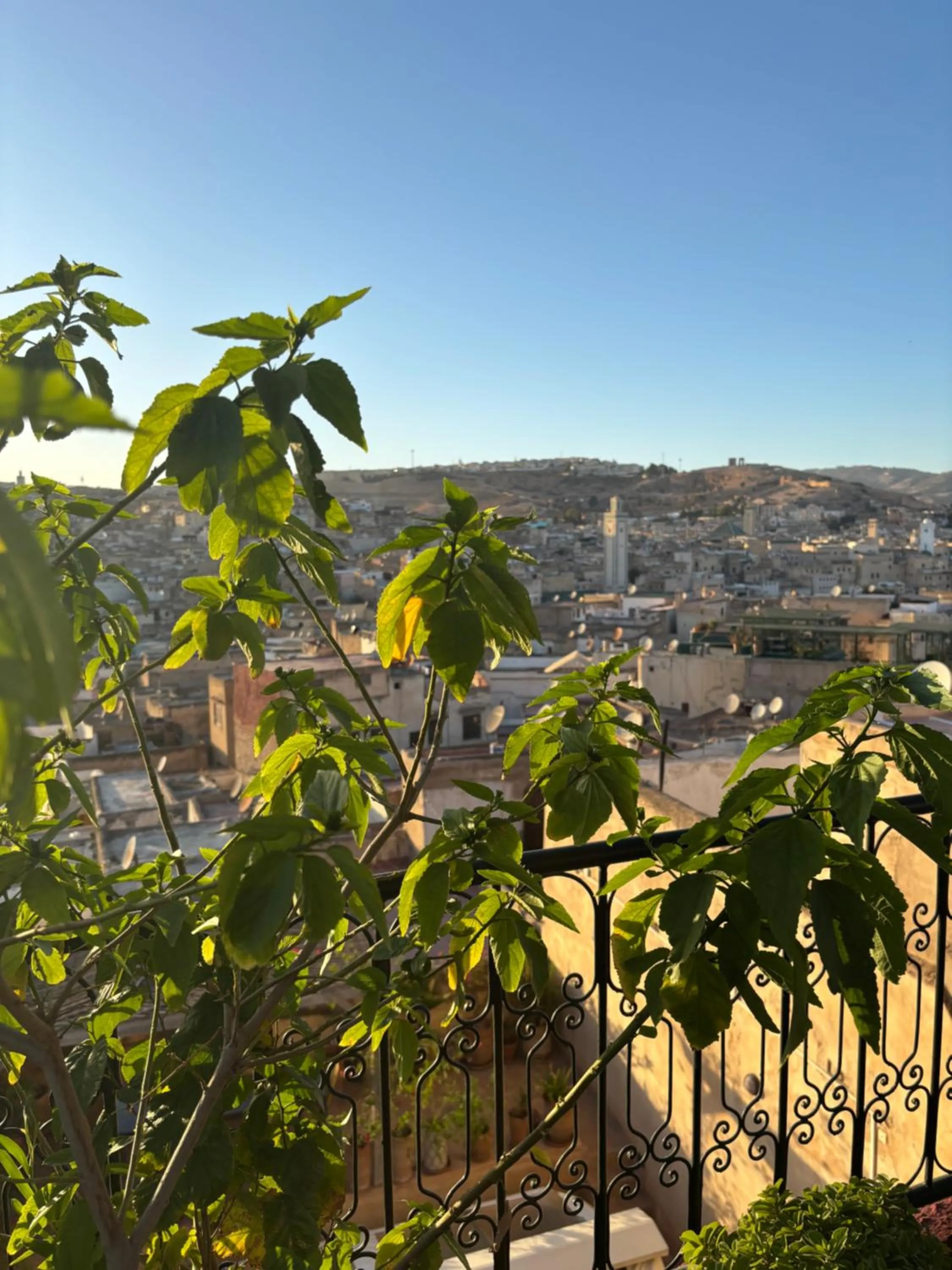 Property building in Riad DAR FES