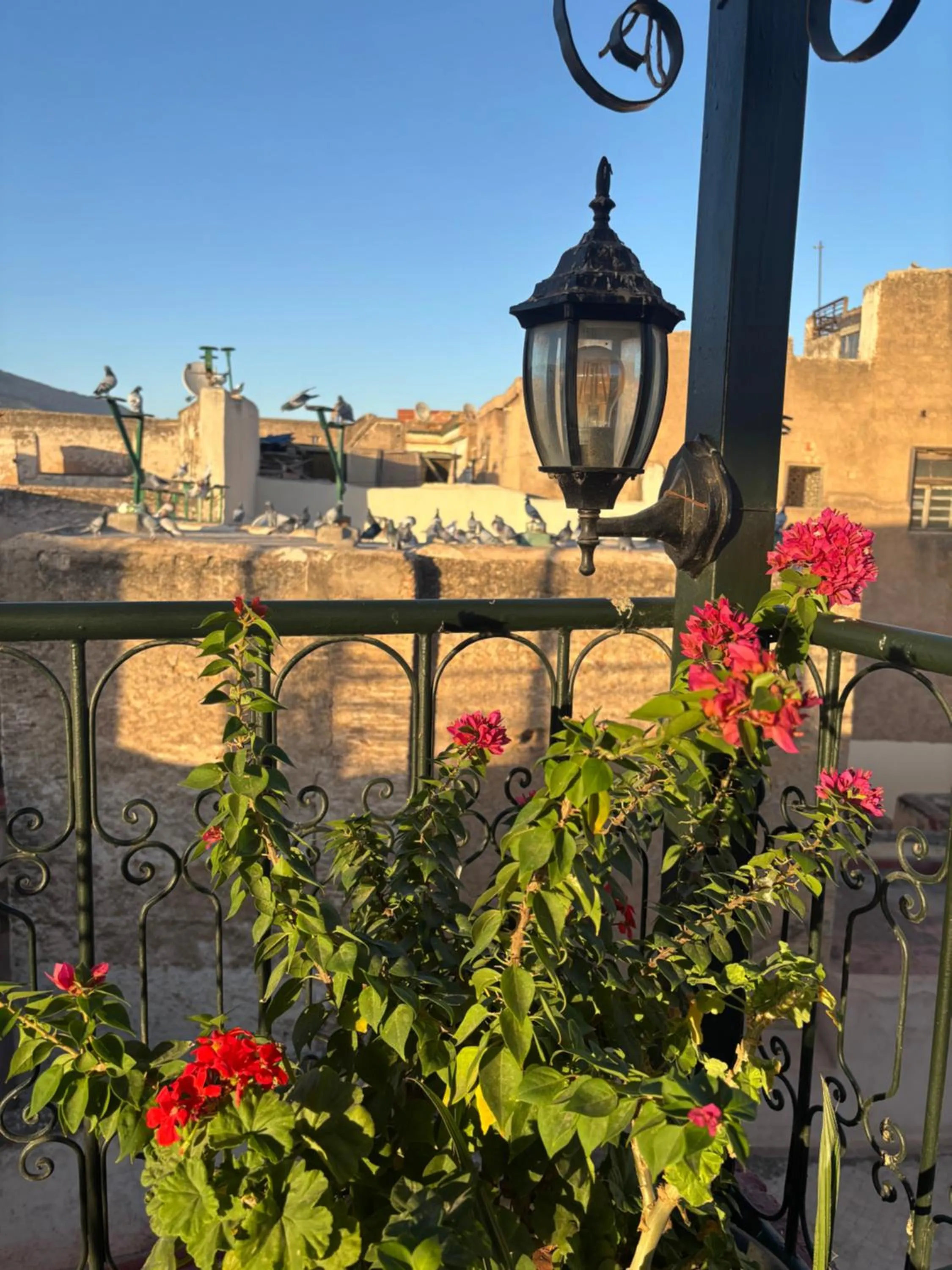 Property building in Riad DAR FES