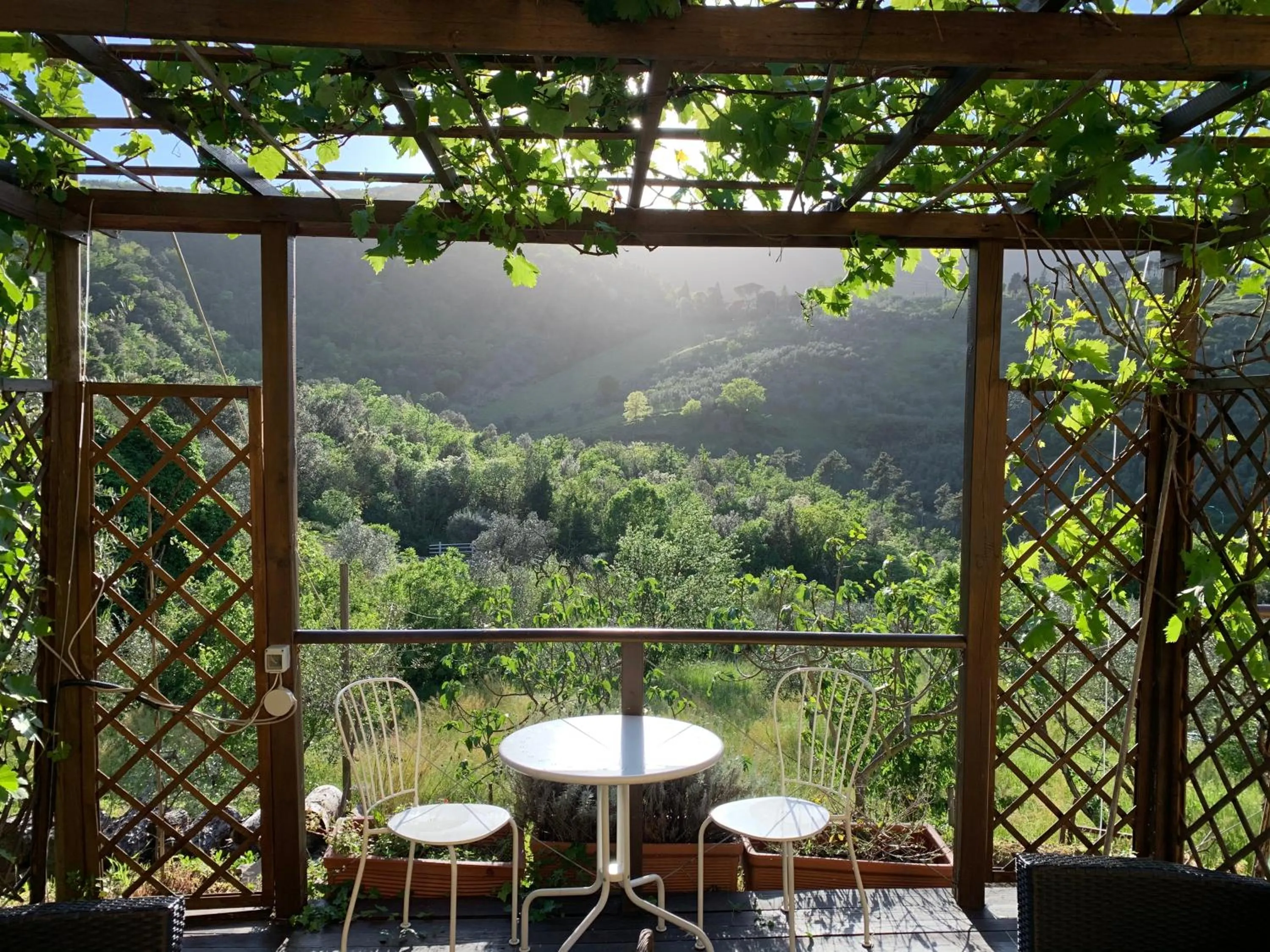 Barco Mediceo B&B In Toscana