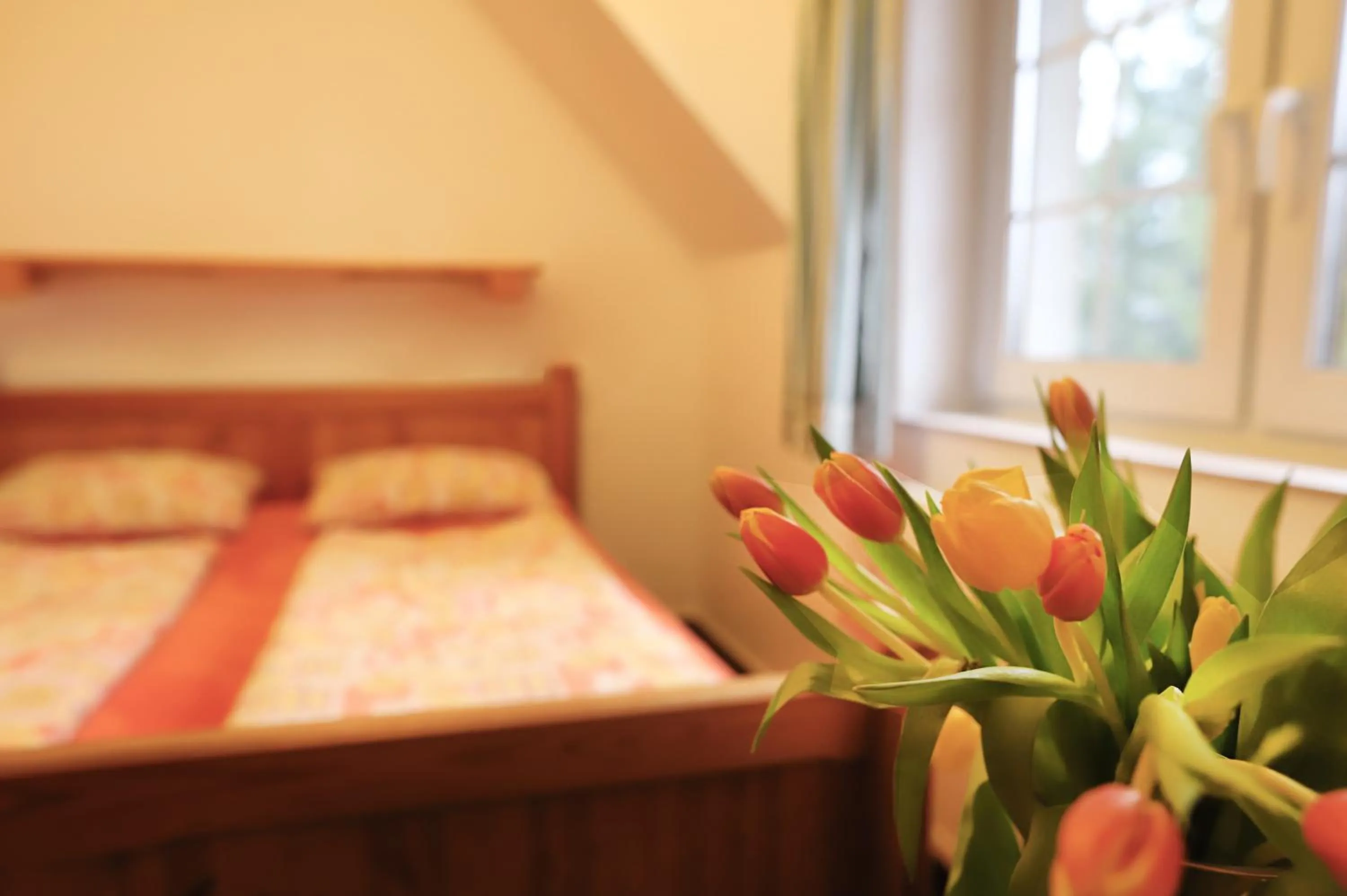 Bed in Hotel Sirákov