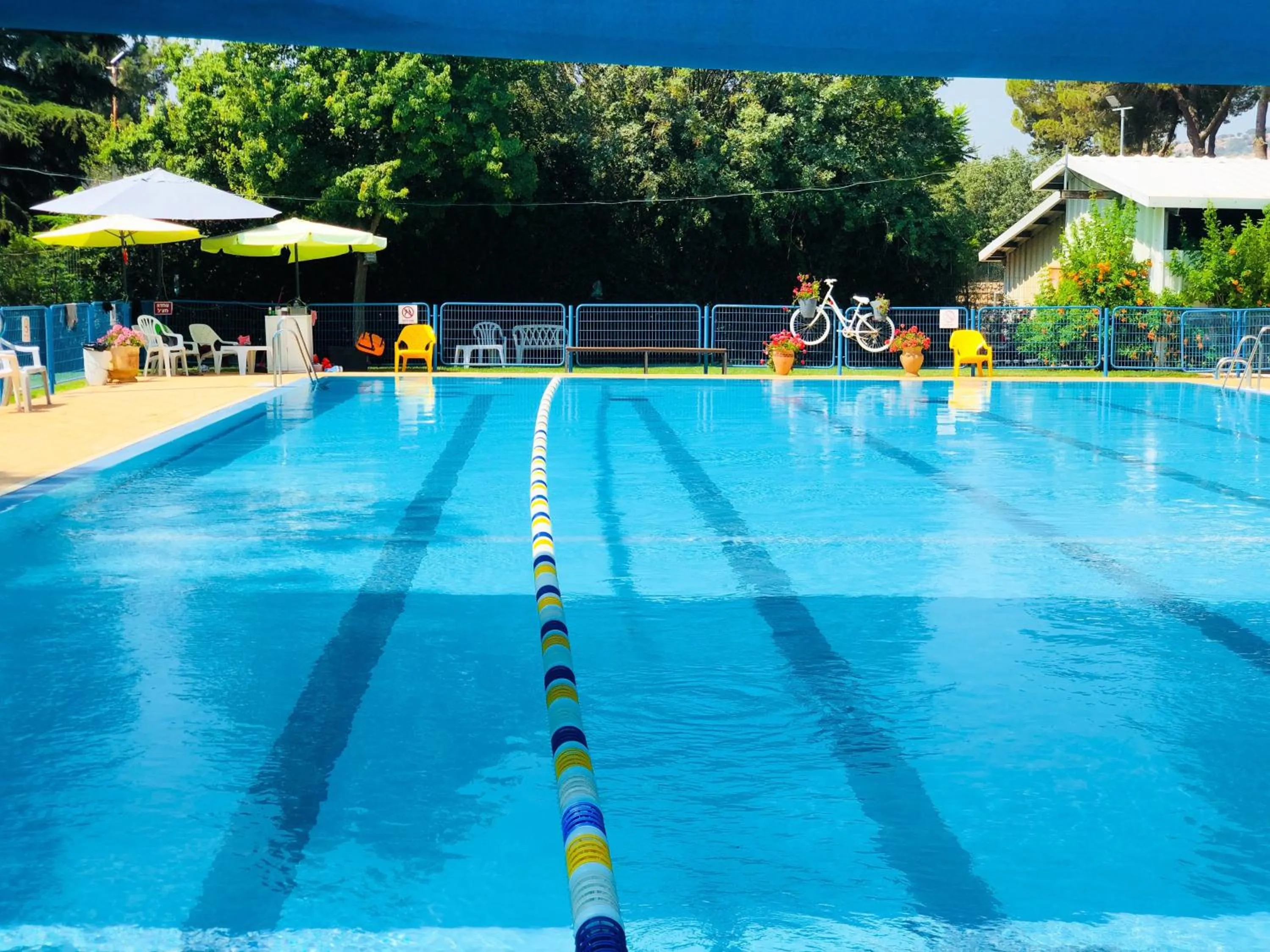 Swimming pool in Kibbutz Malkiya Travel Hotel