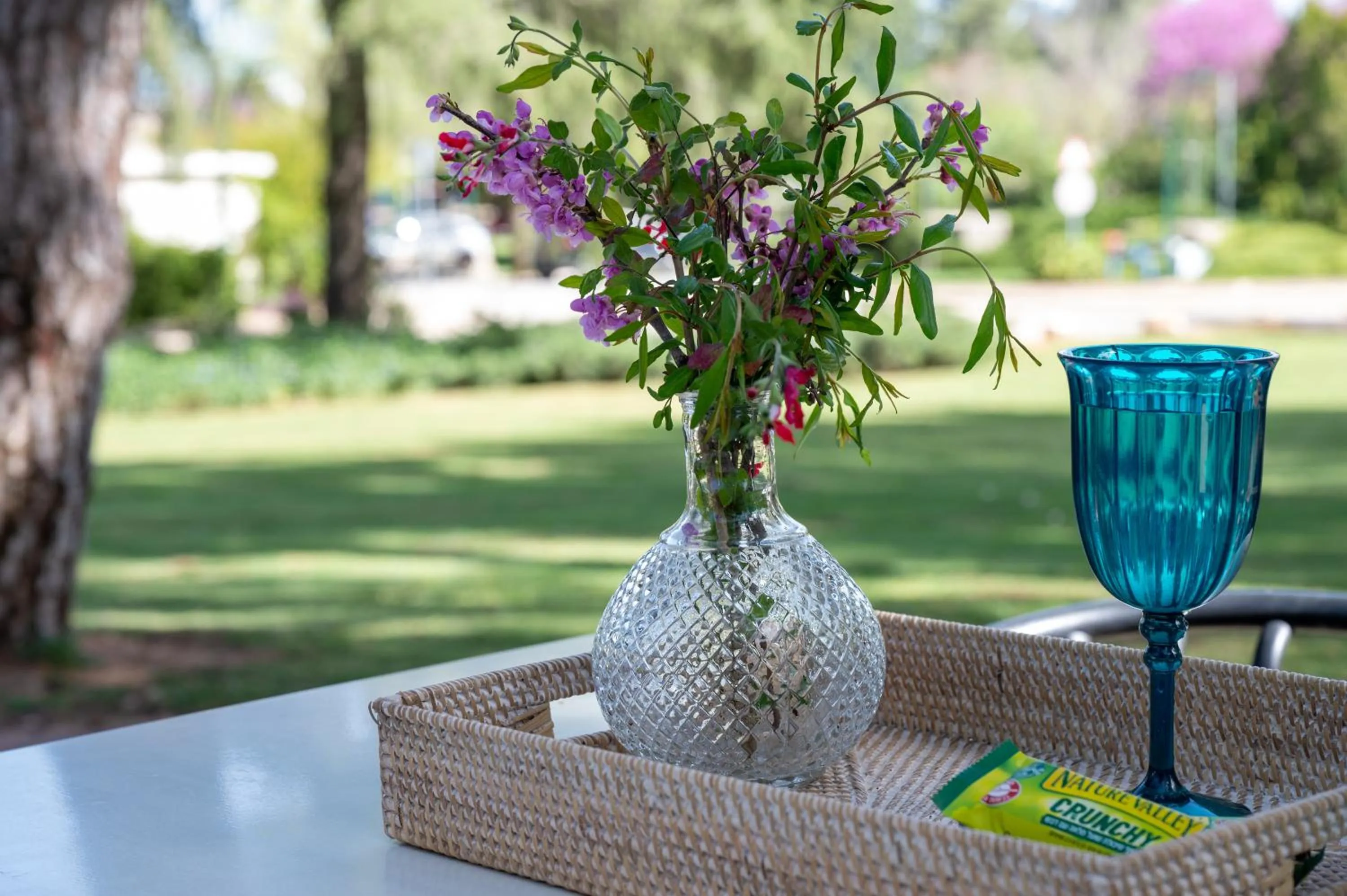 Garden in Kibbutz Malkiya Travel Hotel