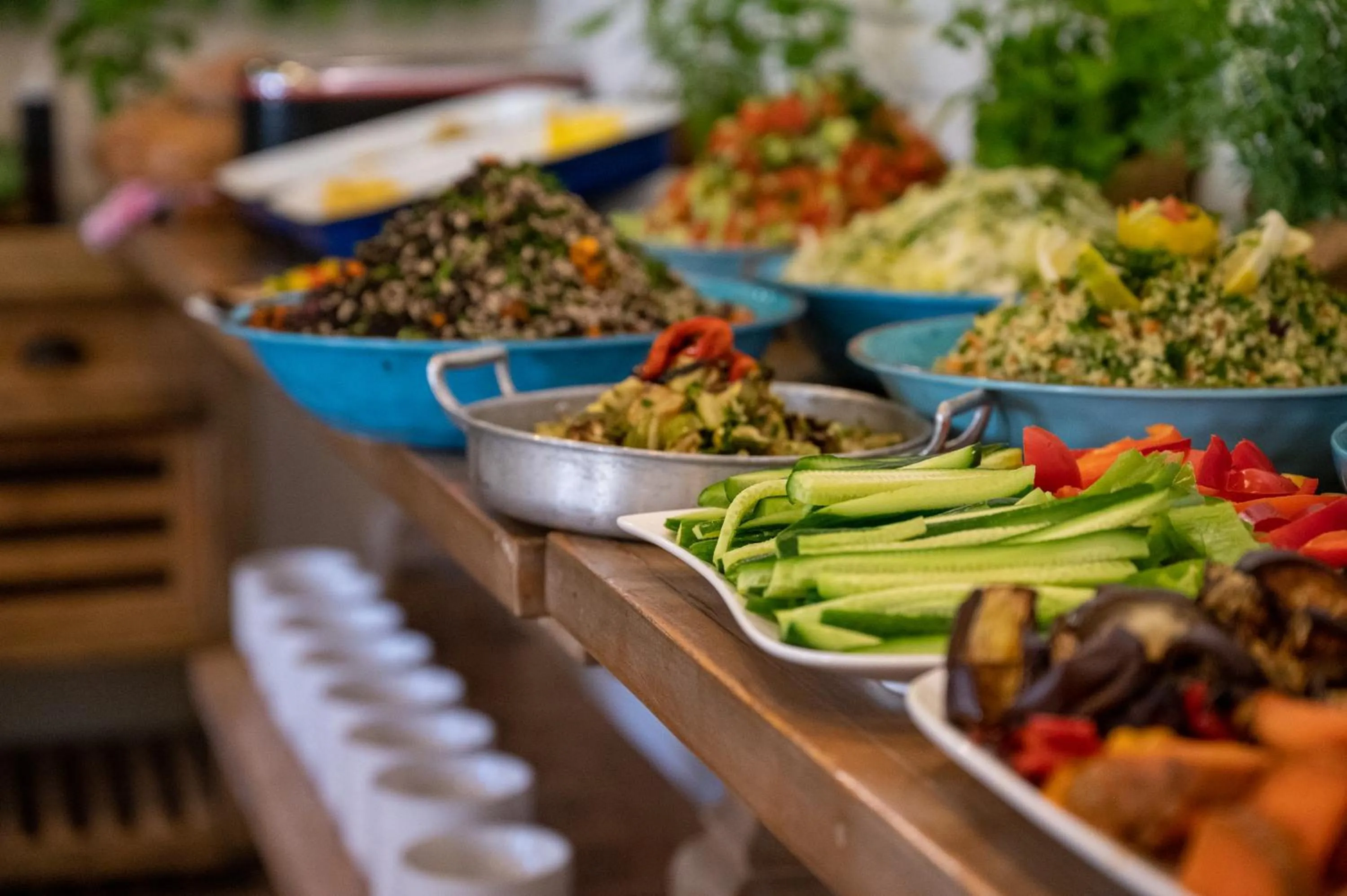 Buffet breakfast in Kibbutz Malkiya Travel Hotel