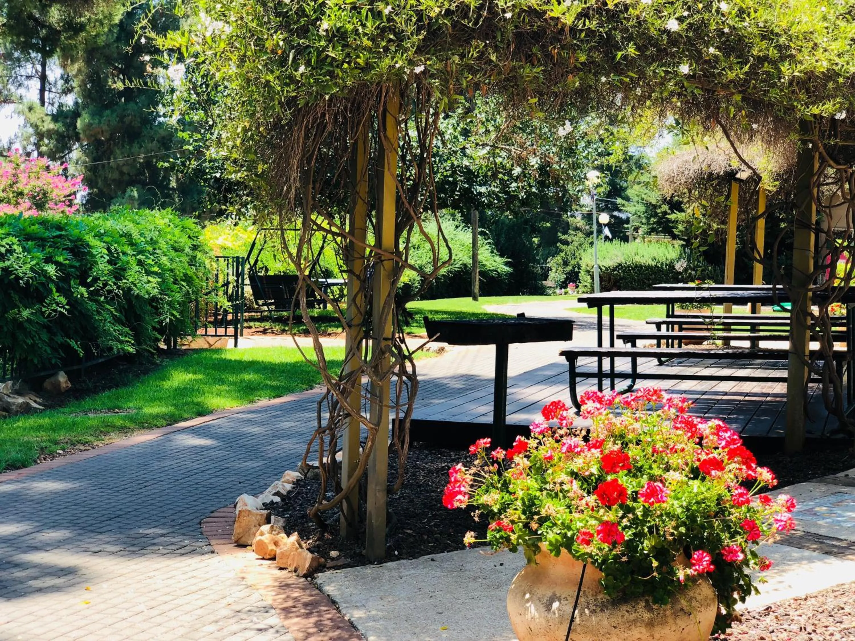 Garden in Kibbutz Malkiya Travel Hotel