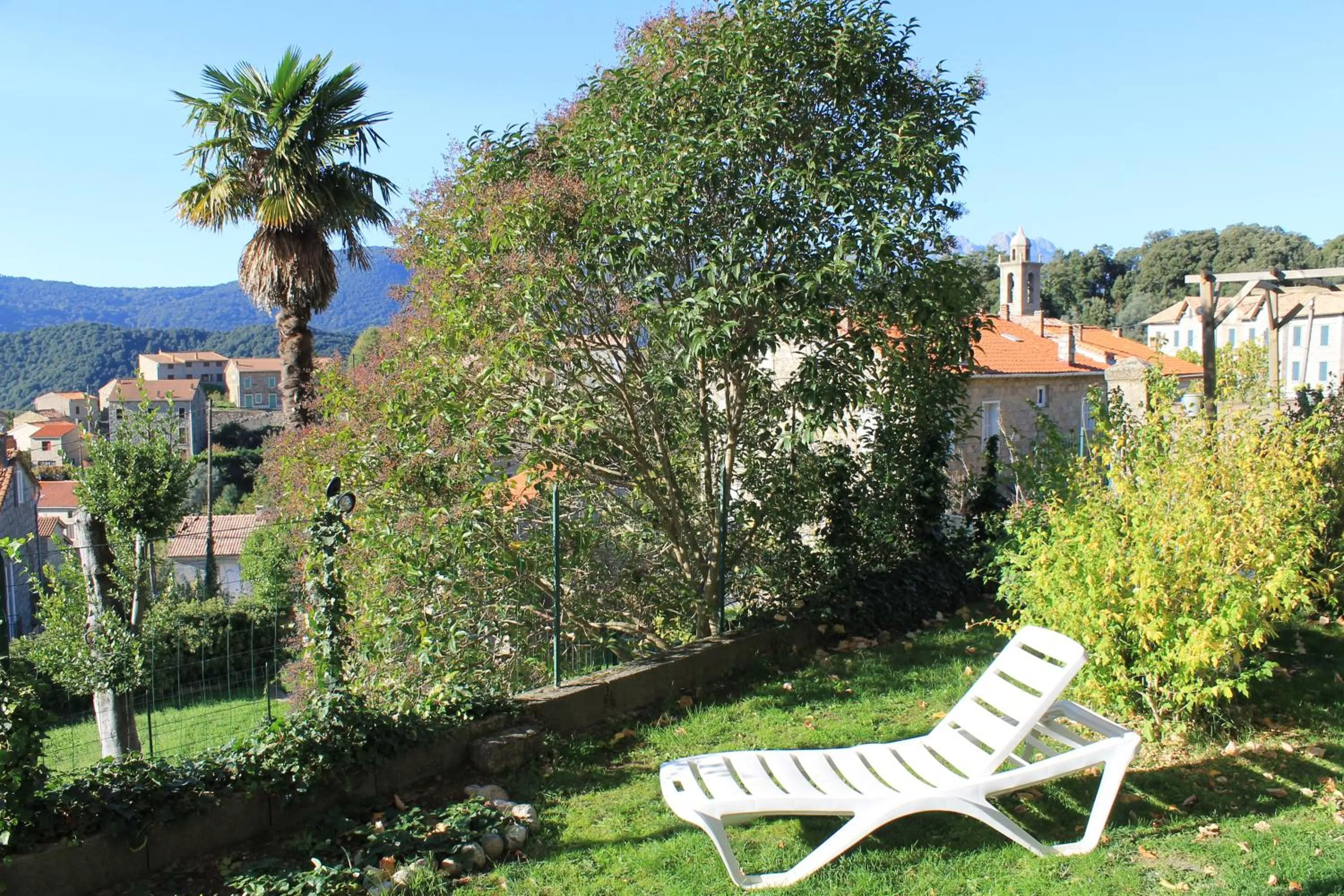 Garden in Gîte du Chalet Pietri