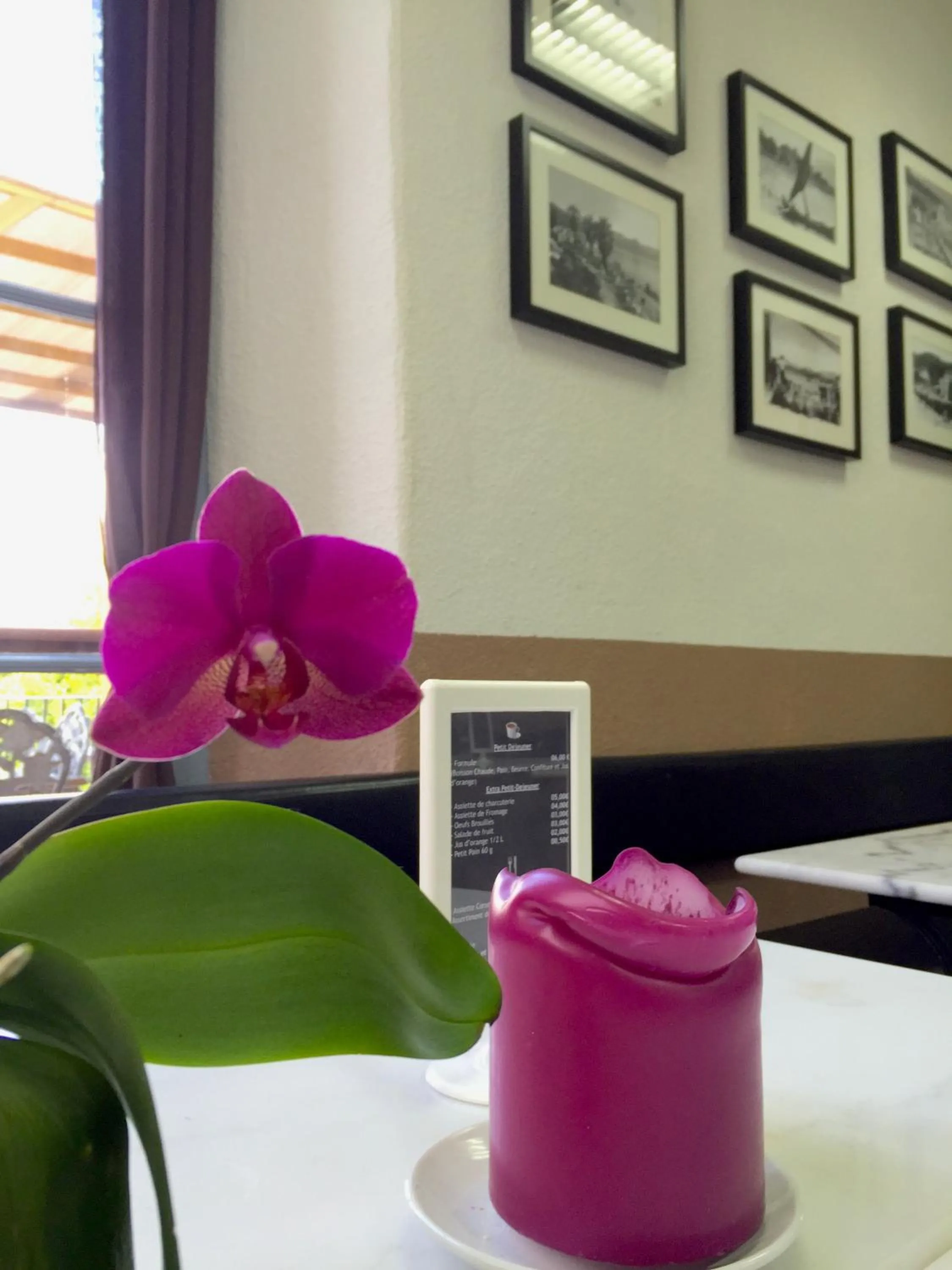 Dining area in Gîte du Chalet Pietri