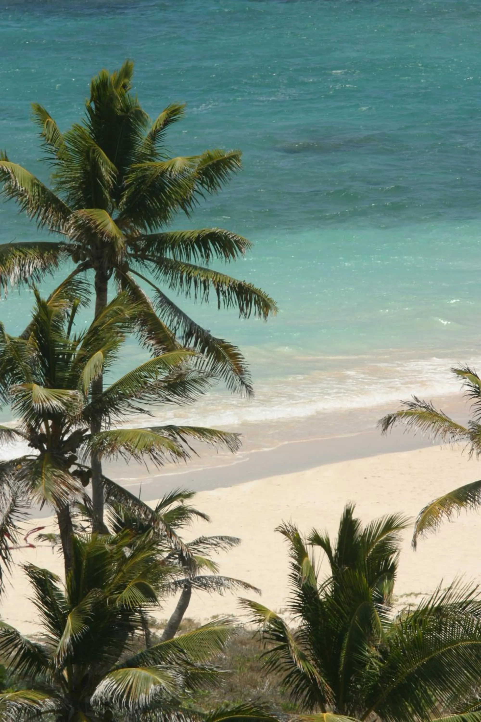 Beach in Princess Heights Luxury Condo Hotel