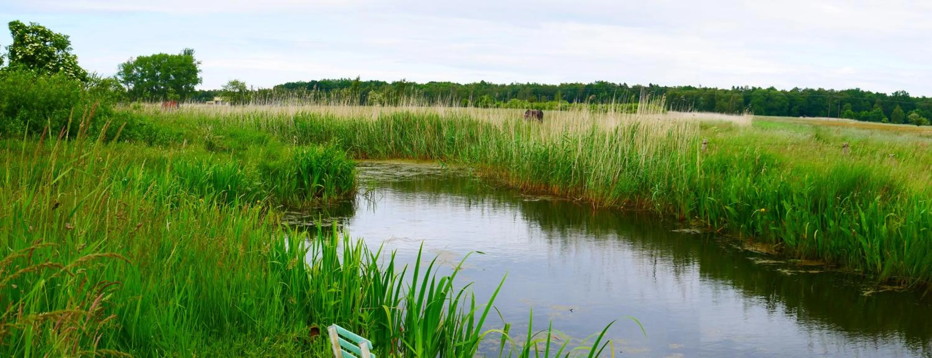 Activities in Słoneczny Dom pokoje i apartament na wynajem