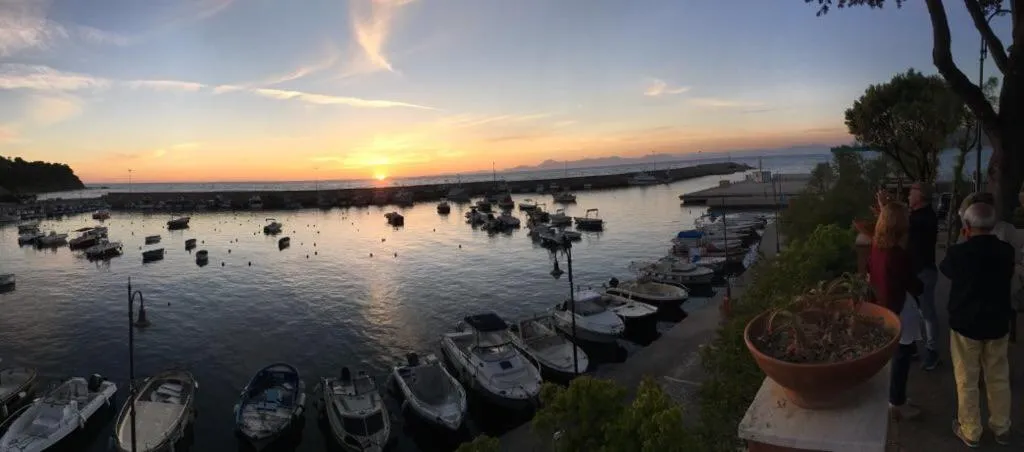 Nearby landmark in Quasi in Porto Rooms