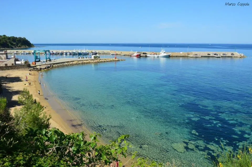 Beach in Quasi in Porto Rooms
