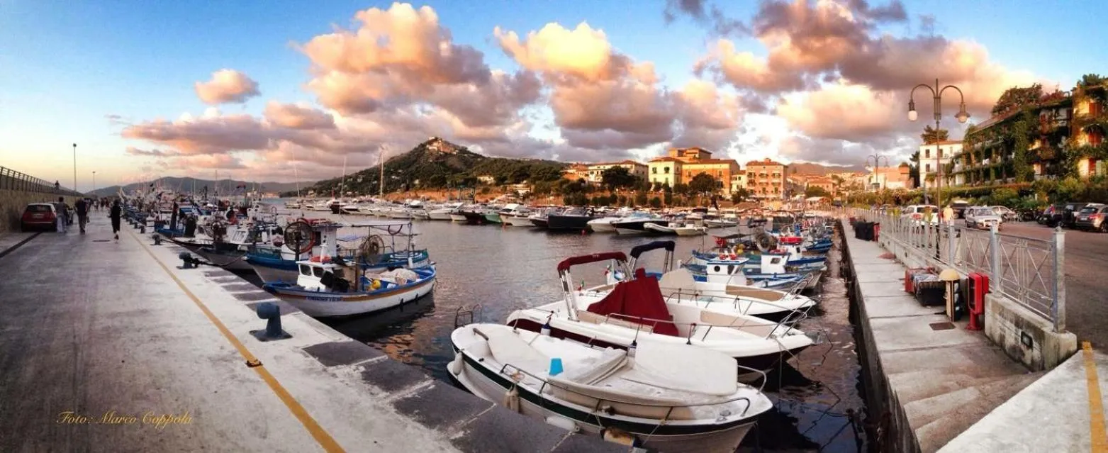 Nearby landmark in Quasi in Porto Rooms