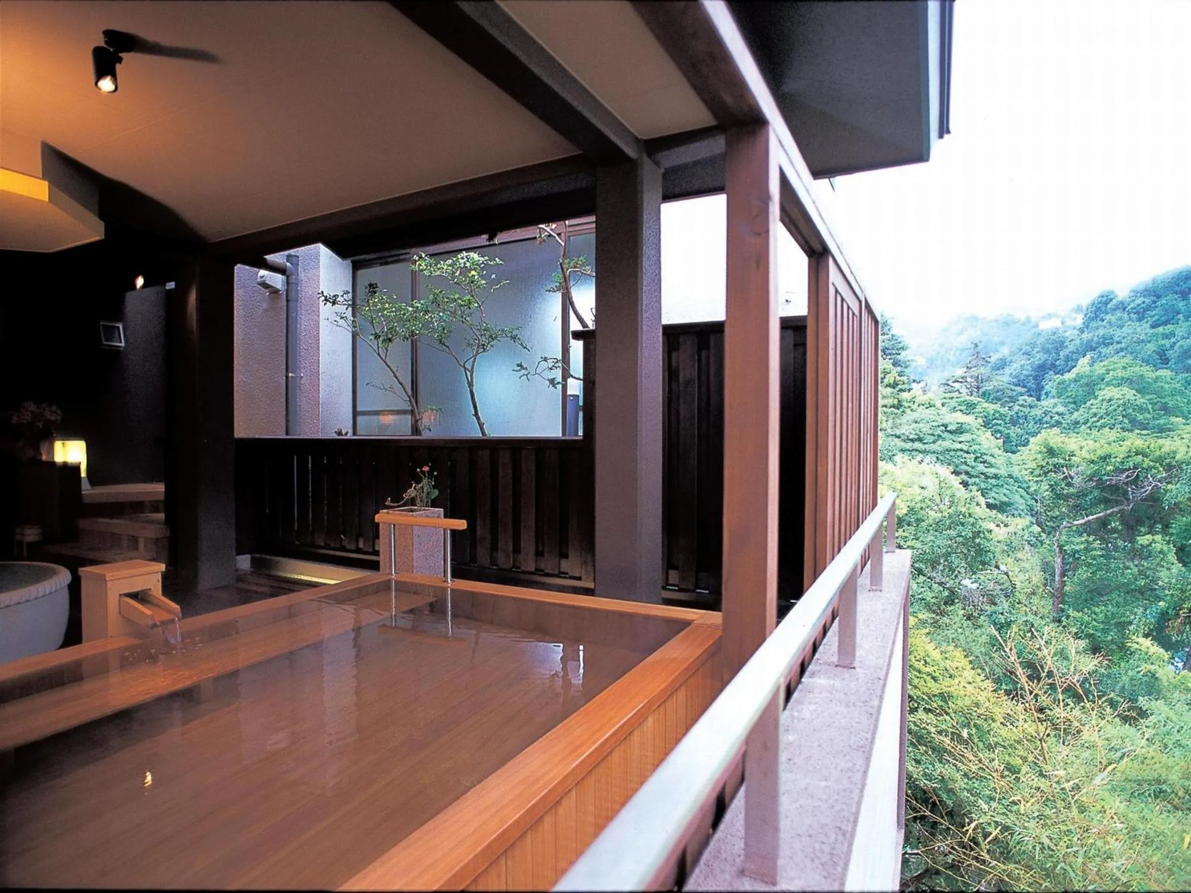Hot Spring Bath in Yugawara Ohnoya Ryokan