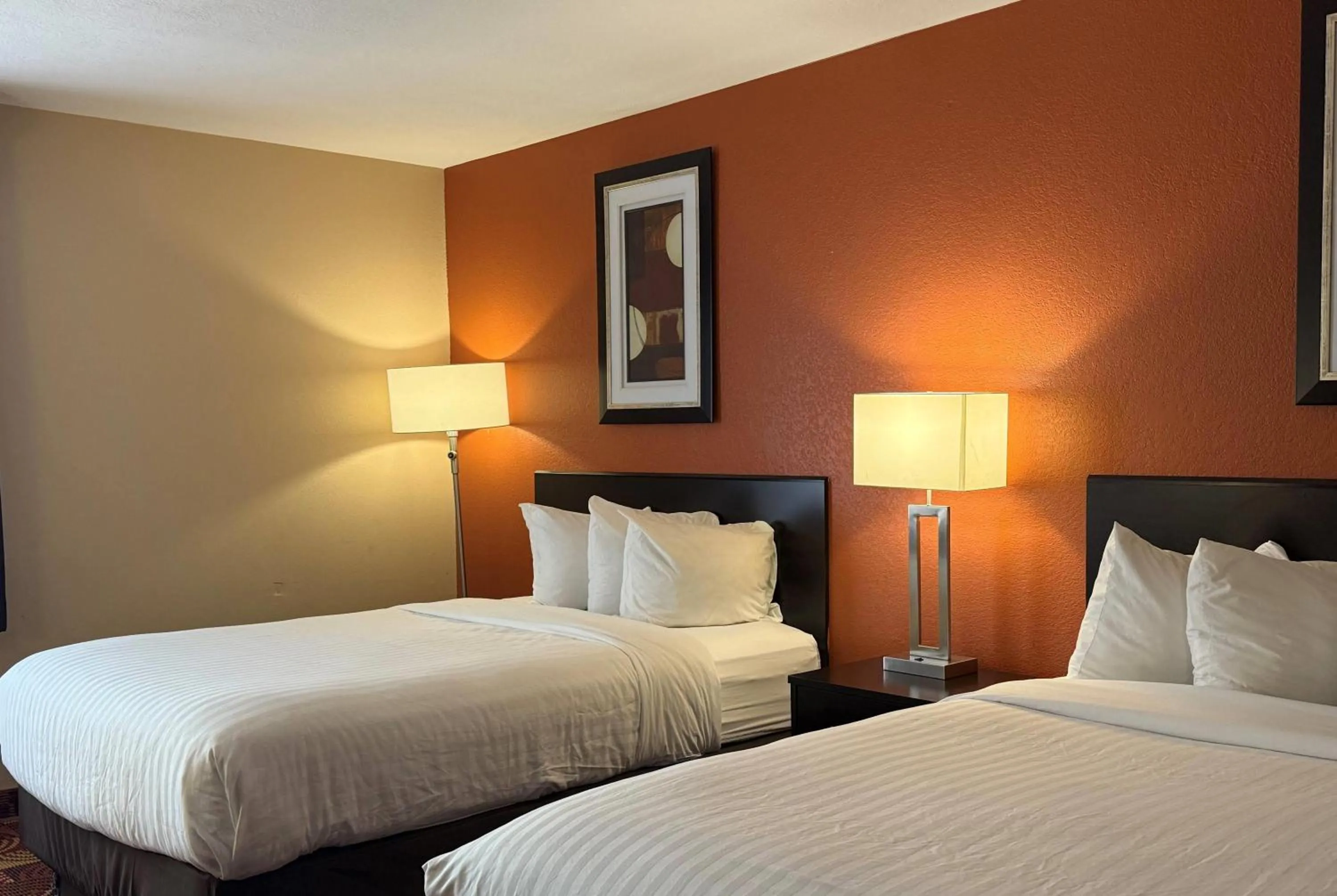 Photo of the whole room, Bed in Baymont by Wyndham Plainfield/ Indianapolis Arpt Area