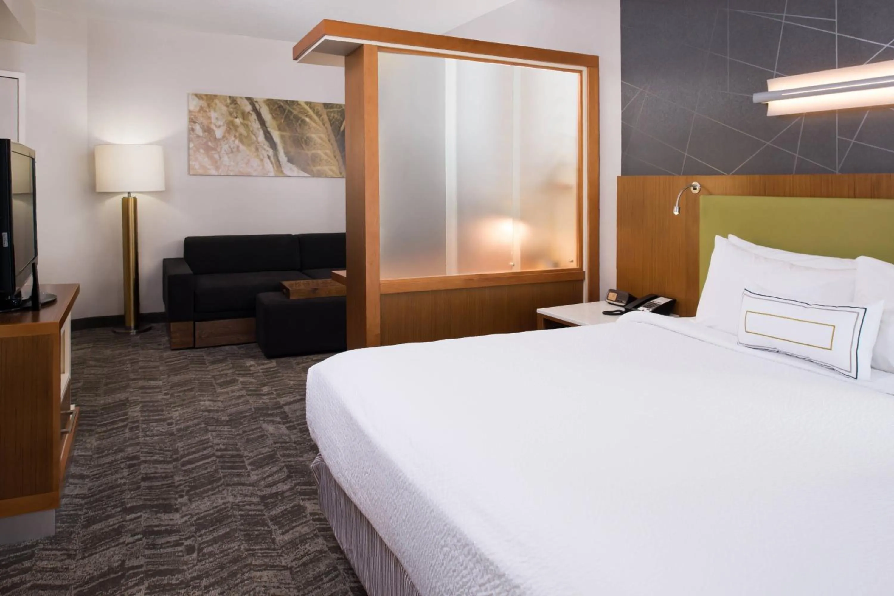 Photo of the whole room, Bed in SpringHill Suites by Marriott Huntsville Downtown