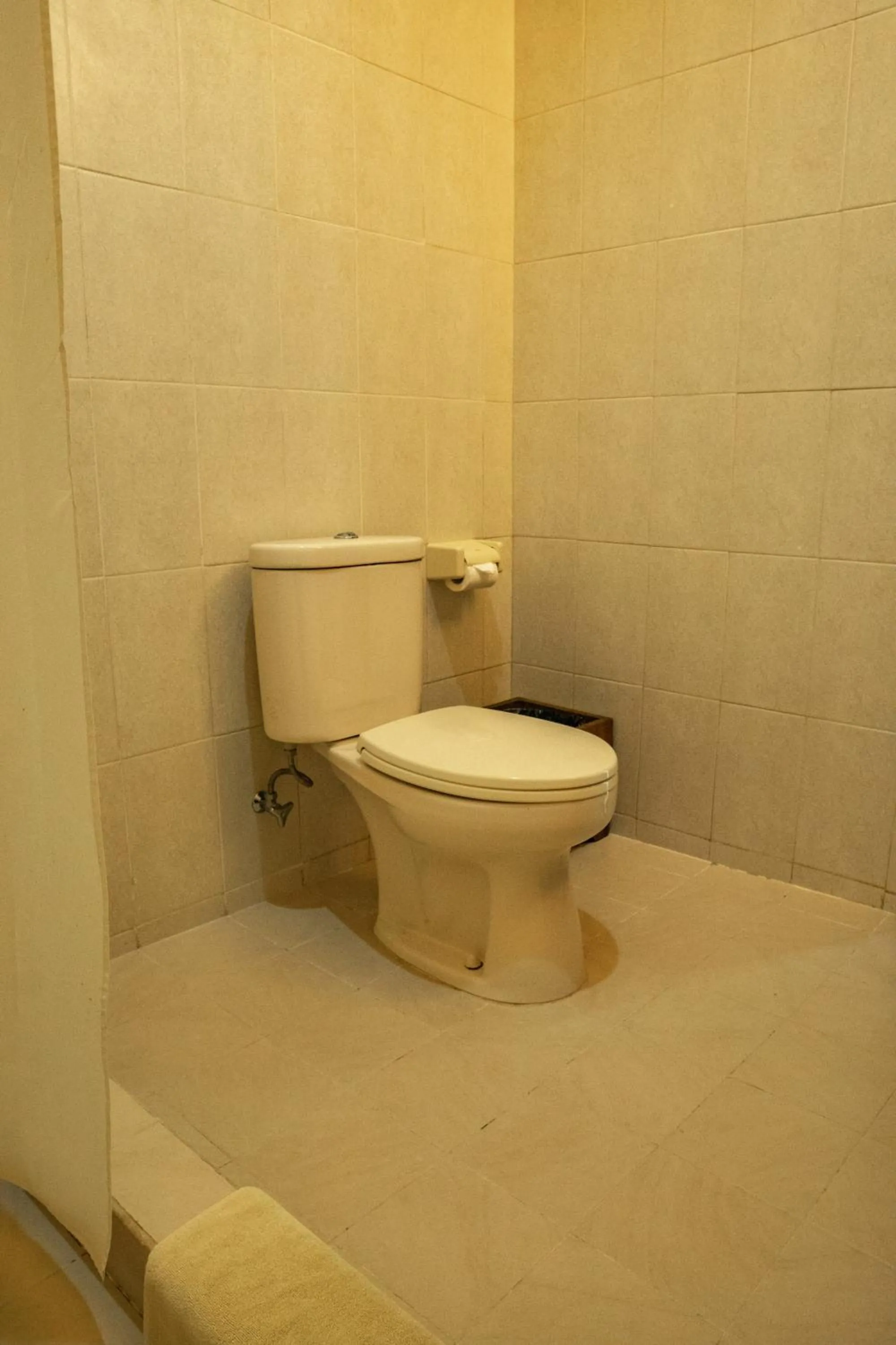 Toilet in Besakih Beach Hotel