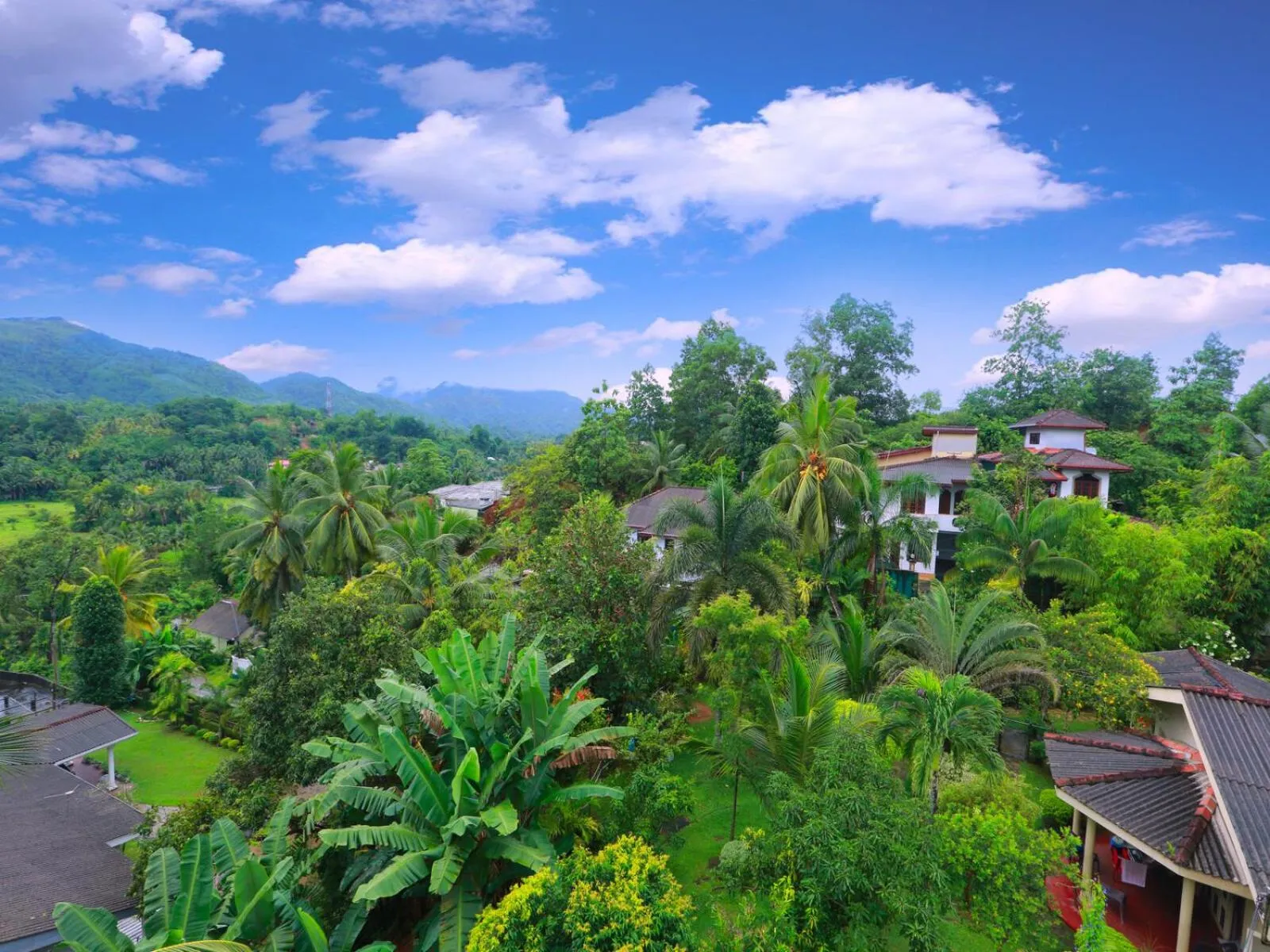 Natural landscape in Centauria Hill Resort