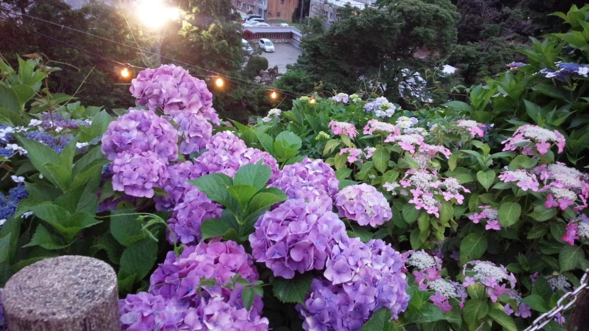 Neighbourhood in Kyoto-Gion Tourist House