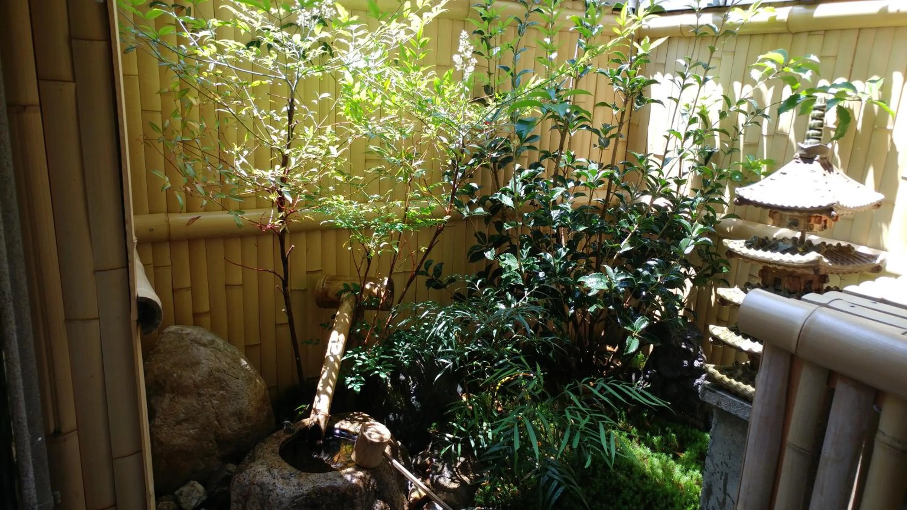 Garden in Kyoto-Gion Tourist House