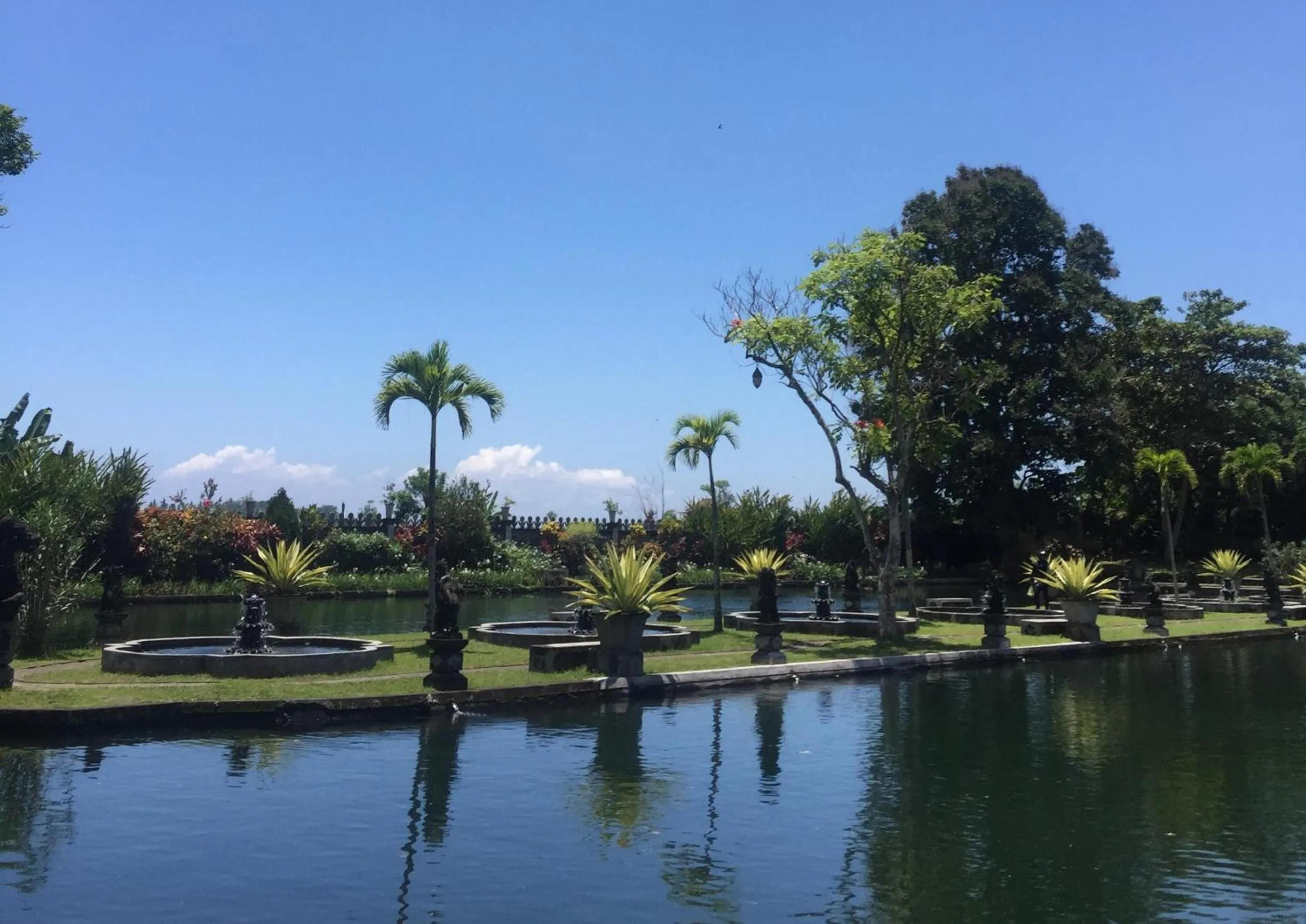 Garden in Dhangin Taman