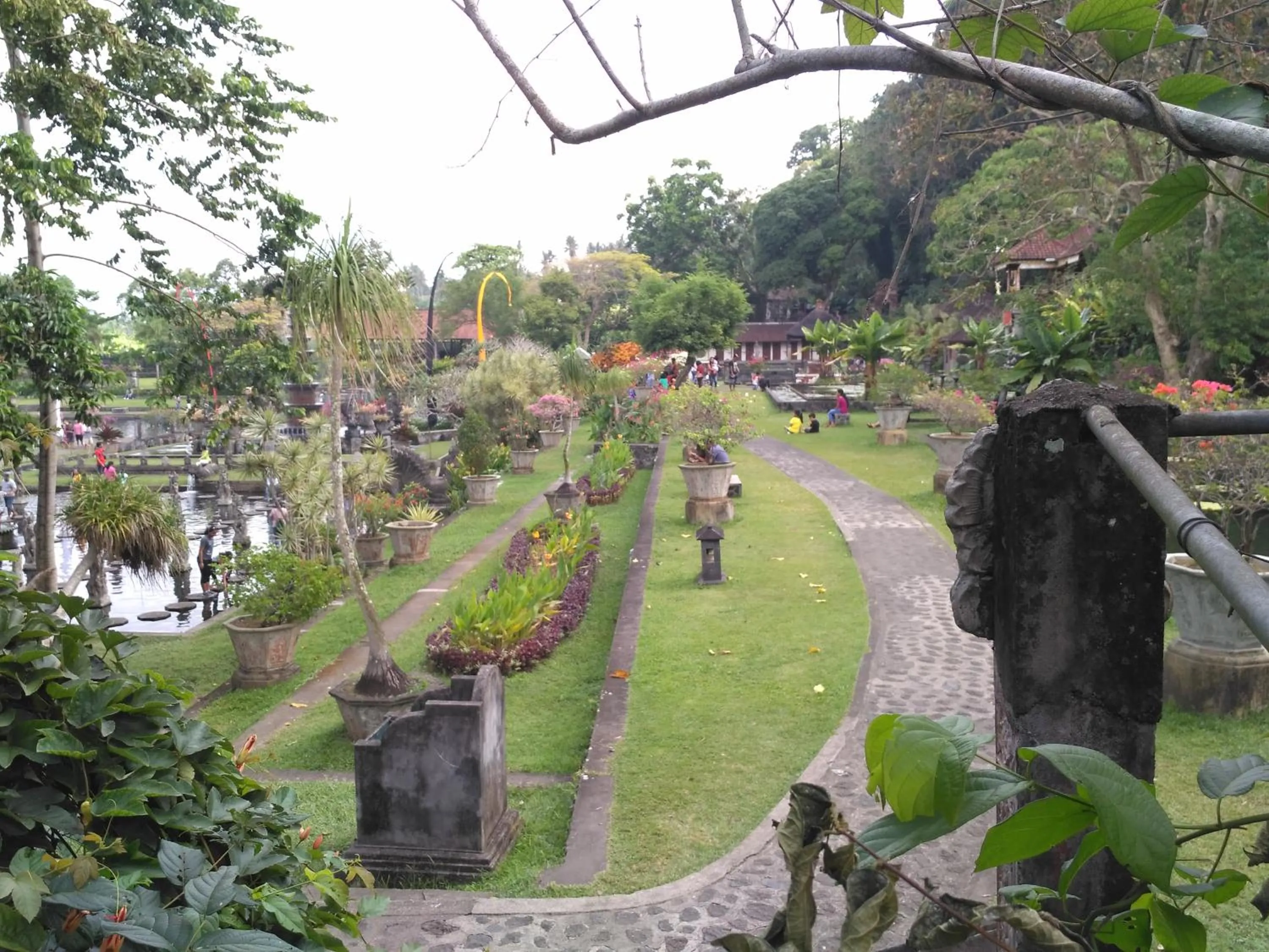 Dhangin Taman