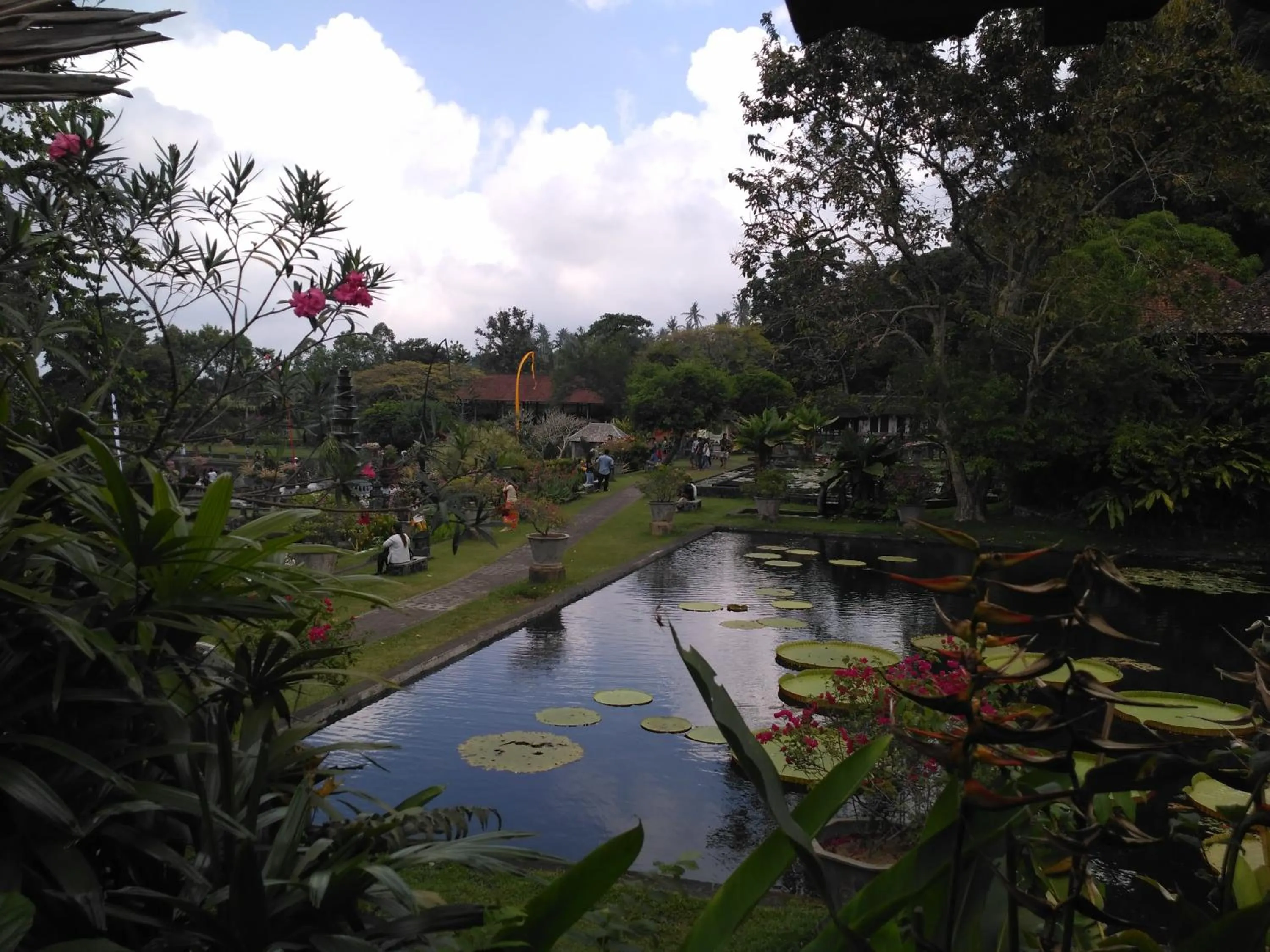 Dhangin Taman