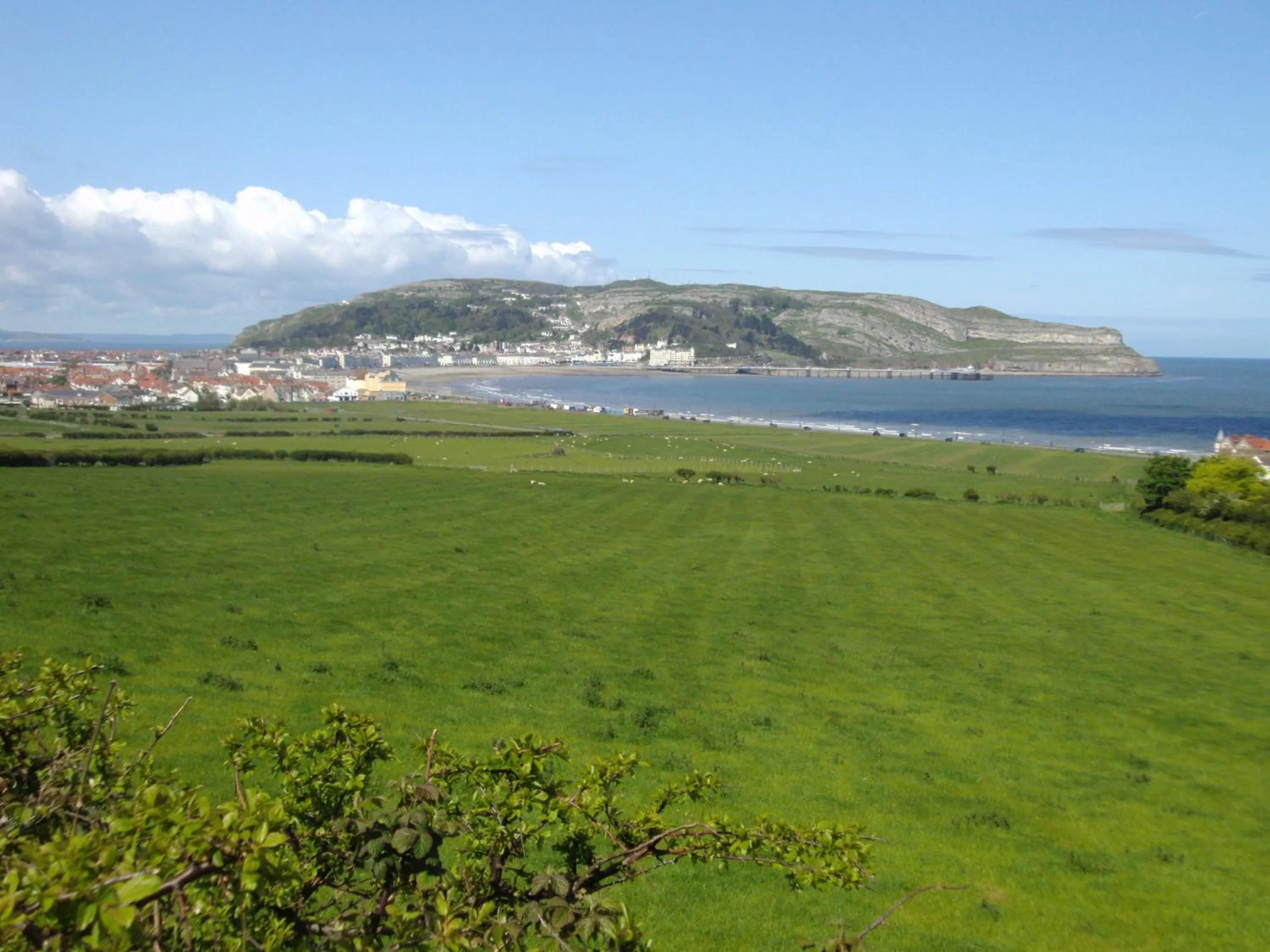 Natural landscape in THE TREVONE, Llandudno