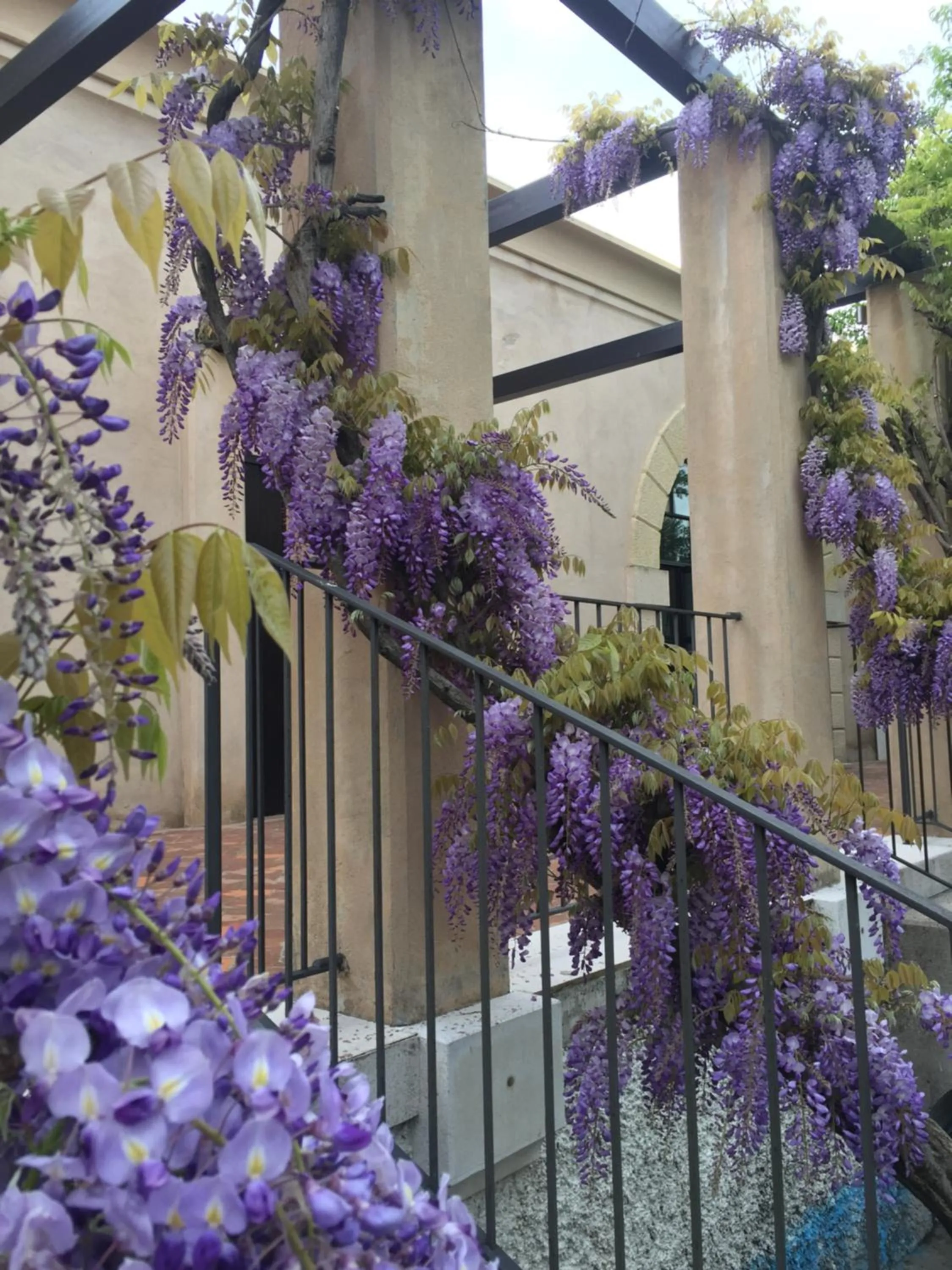 Garden in Ca' Bert Villa dei Glicini B&B