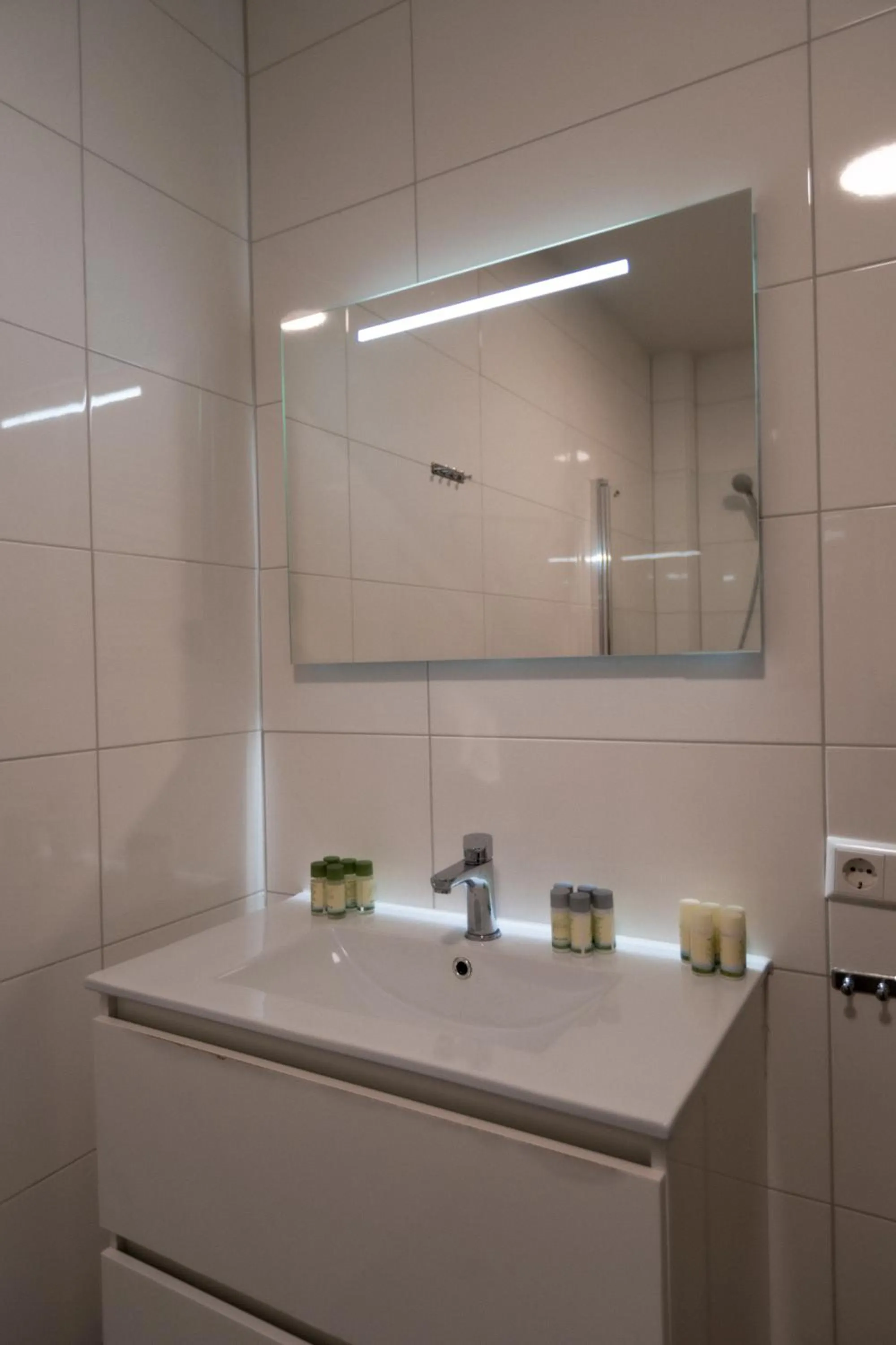 Bathroom in Plantage Hortus Apartments