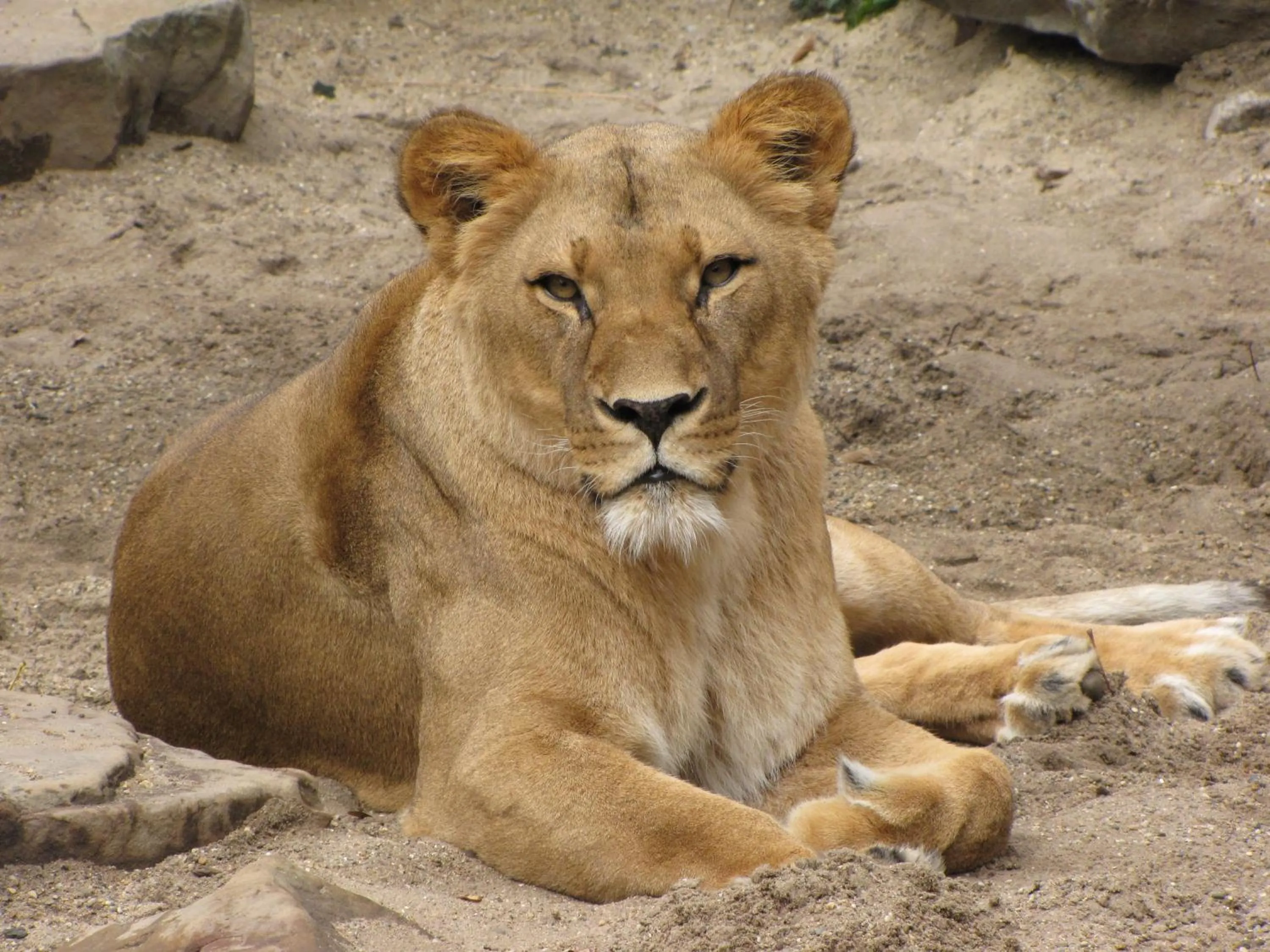 Area and facilities in Plantage Hortus Apartments