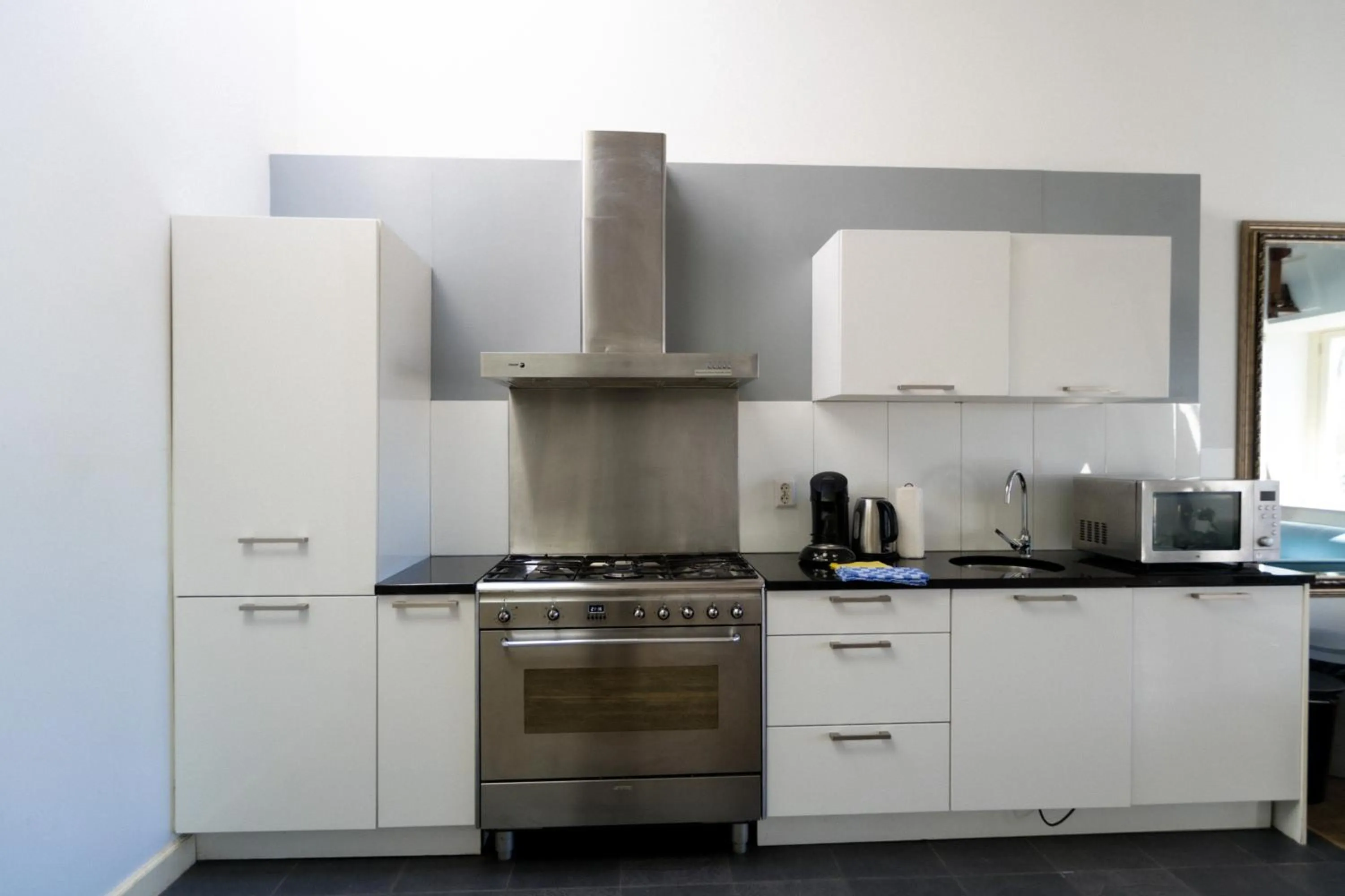 Kitchen or kitchenette in Plantage Hortus Apartments