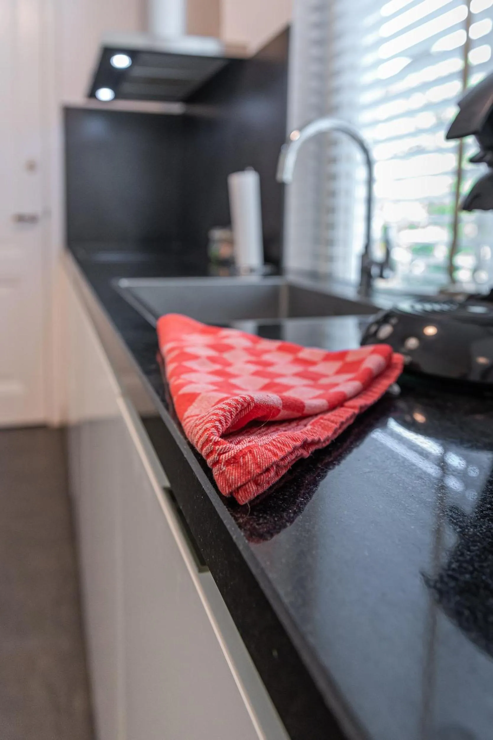 Kitchen or kitchenette in Plantage Hortus Apartments