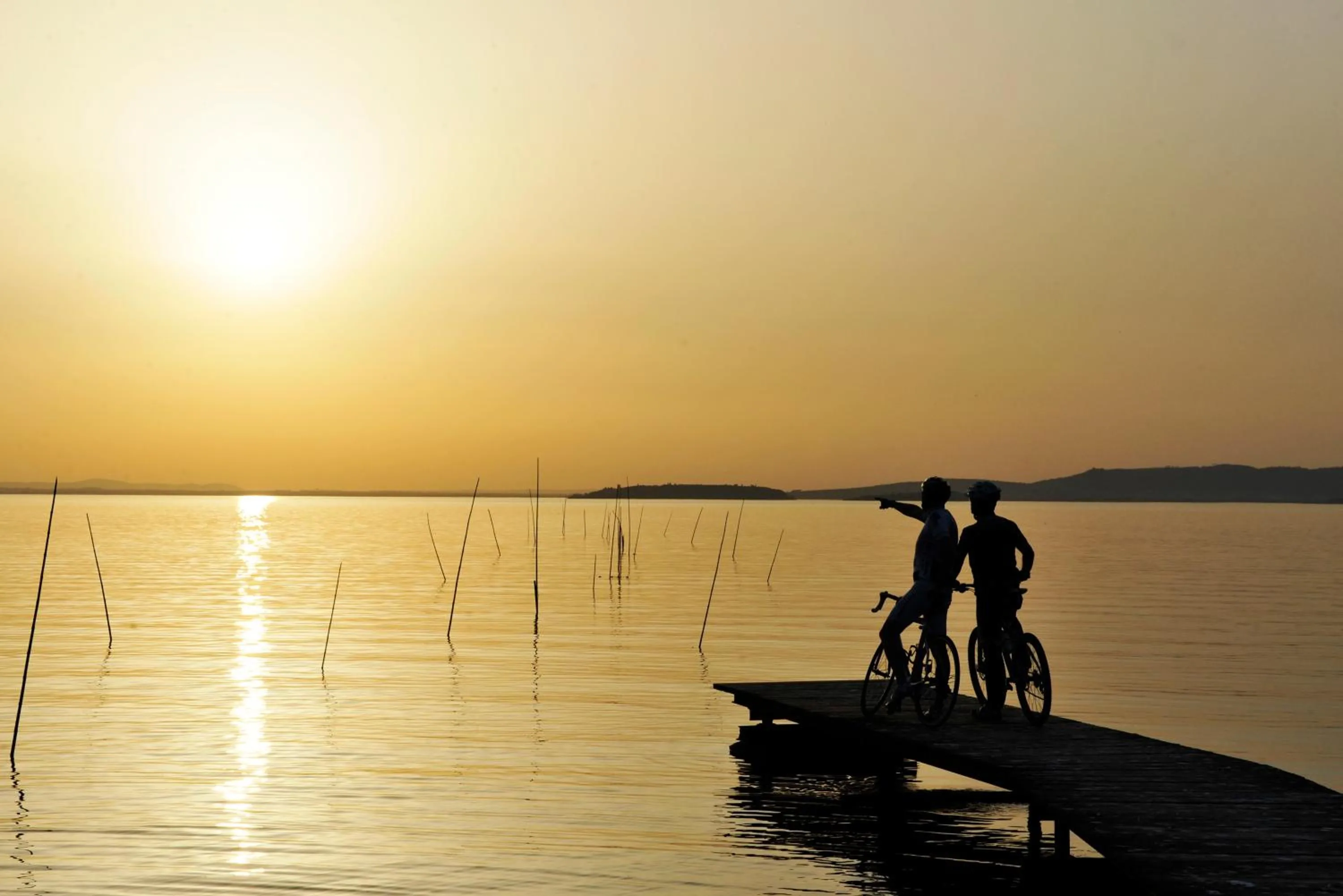 Restaurant/places to eat in Hotel Torricella