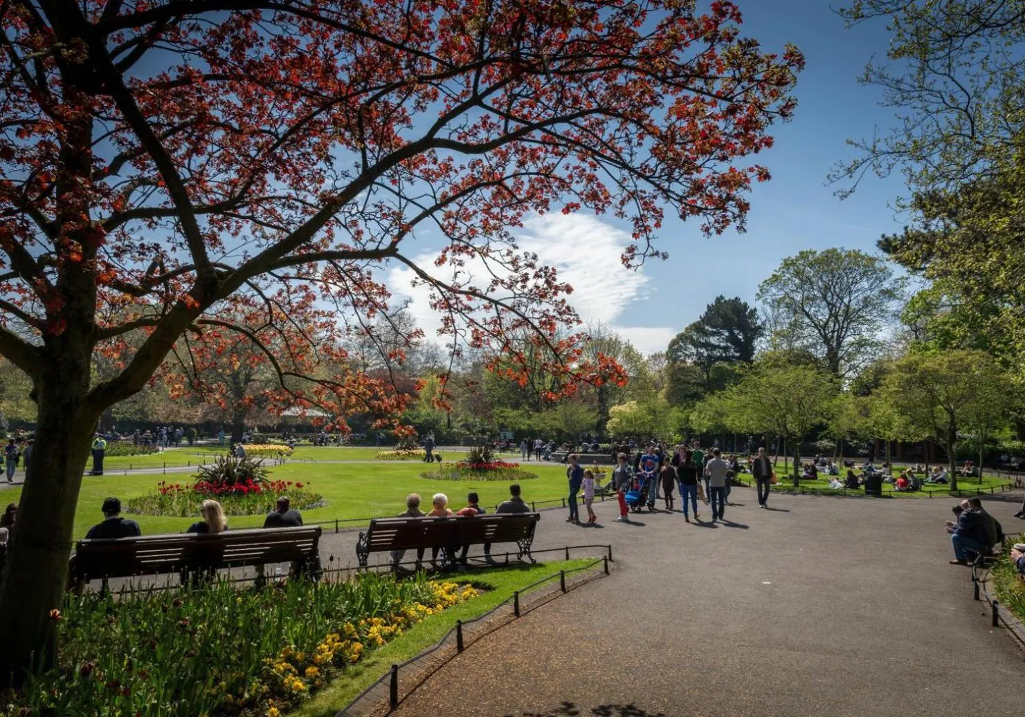 Area and facilities in Clayton Hotel Charlemont