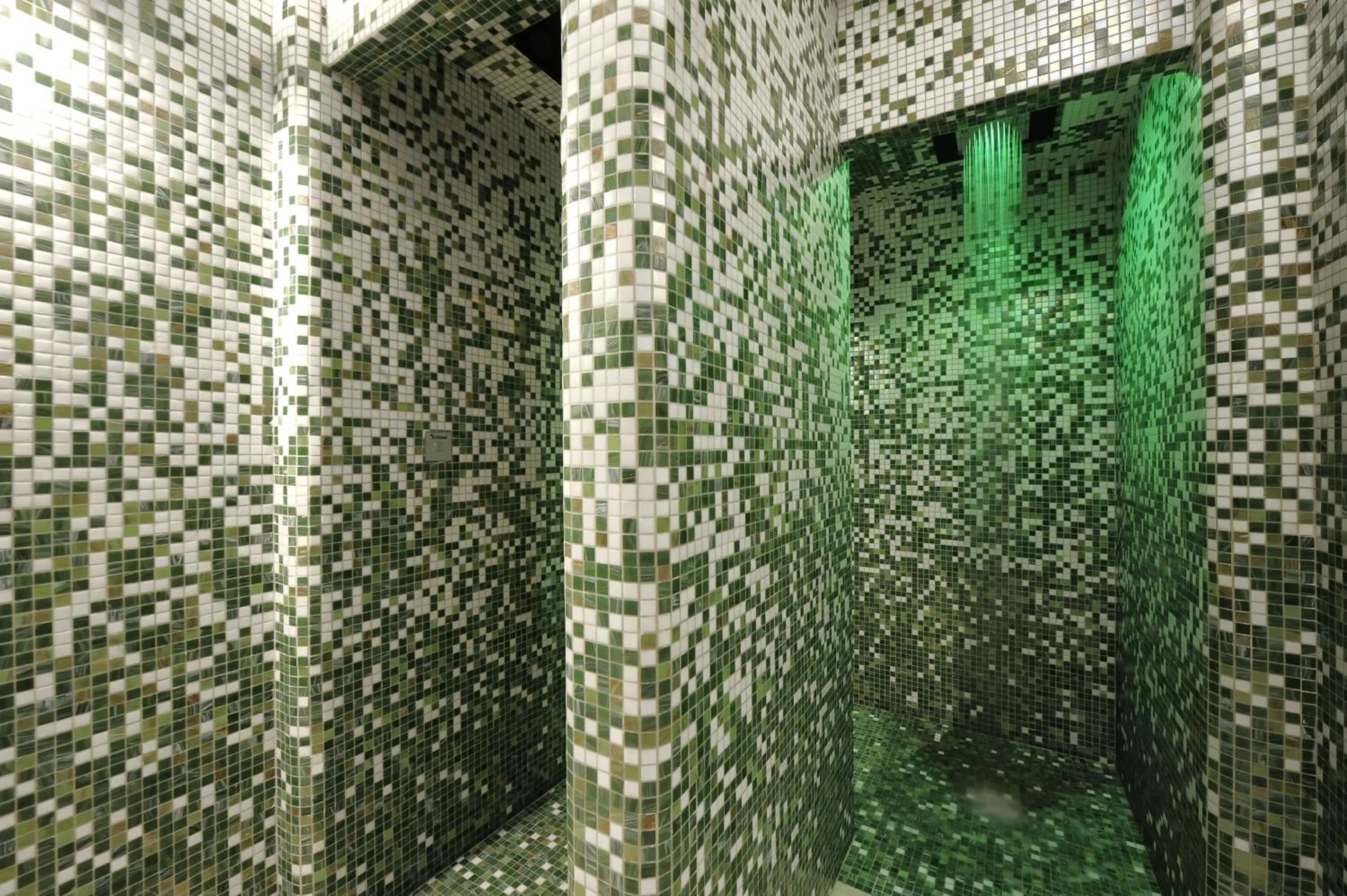 Spa and wellness centre/facilities in Hotel Bertusi