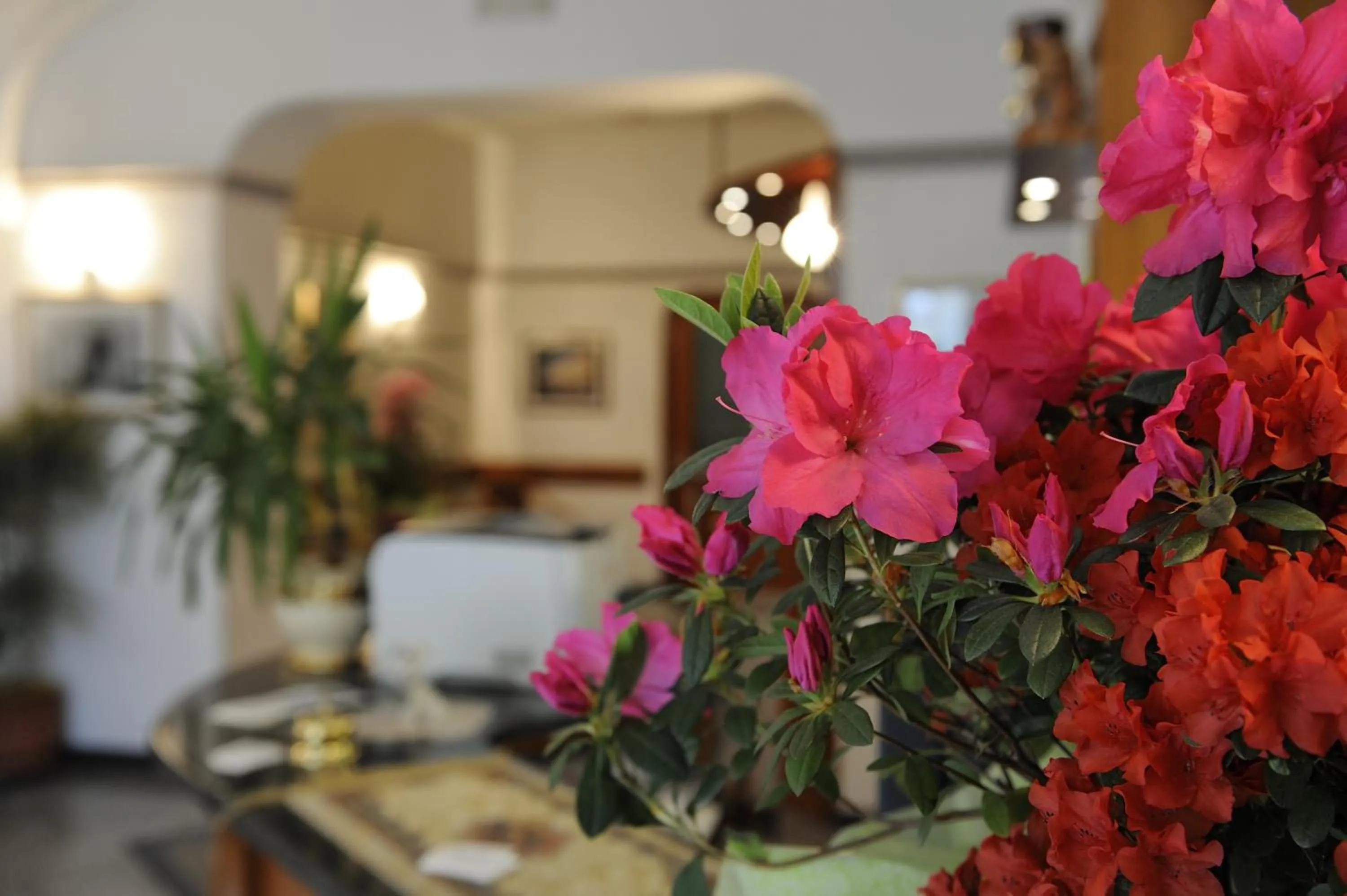 Lobby or reception in Hotel Bertusi