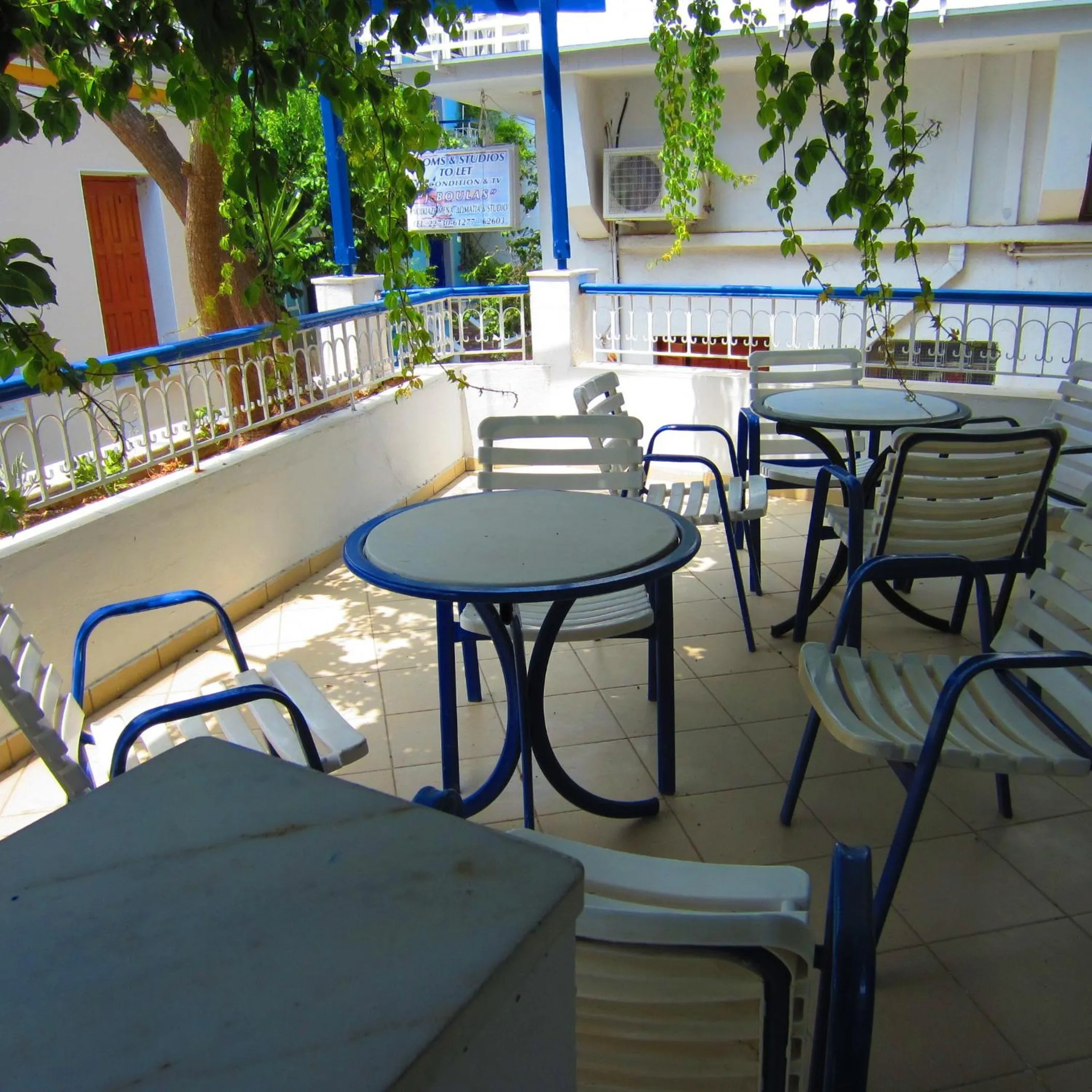 Garden in Hotel Mariona